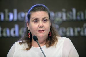 Dep. Fernanda Pessoa (PR)