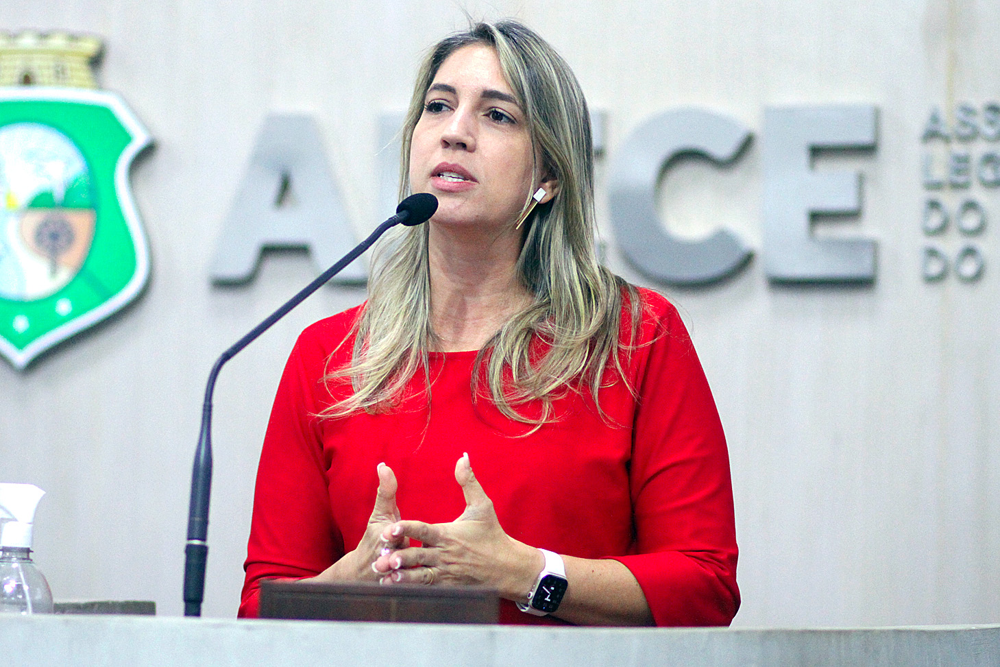 Deputada Larissa Gaspar (PT)