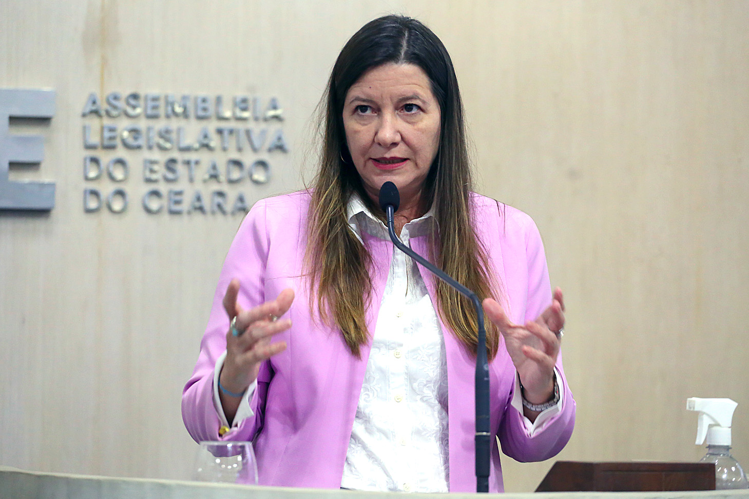 Deputada Lia Gomes (PDT)