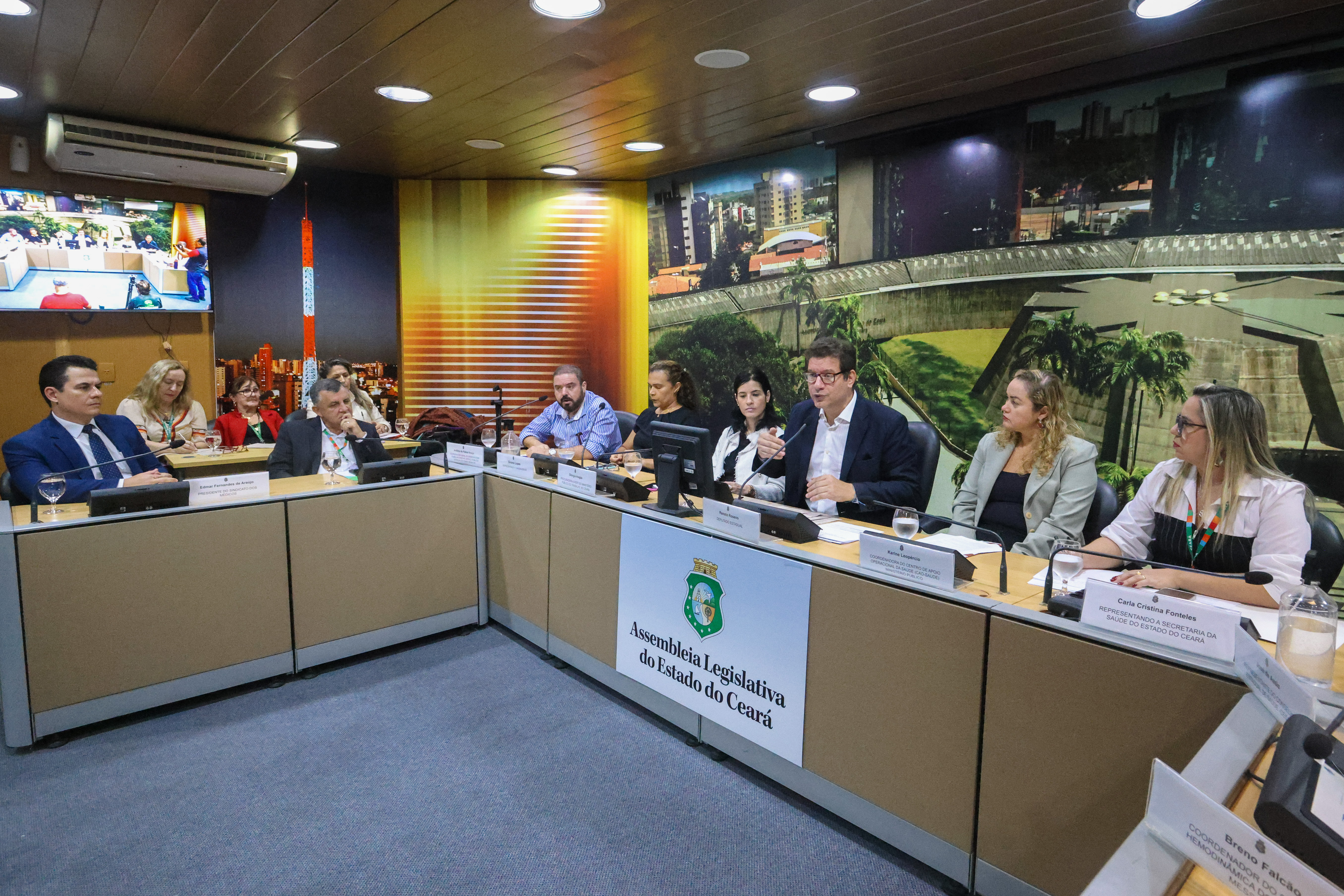 Audiência pública foi realização no Complexo de Comissões Técnicas da Casa