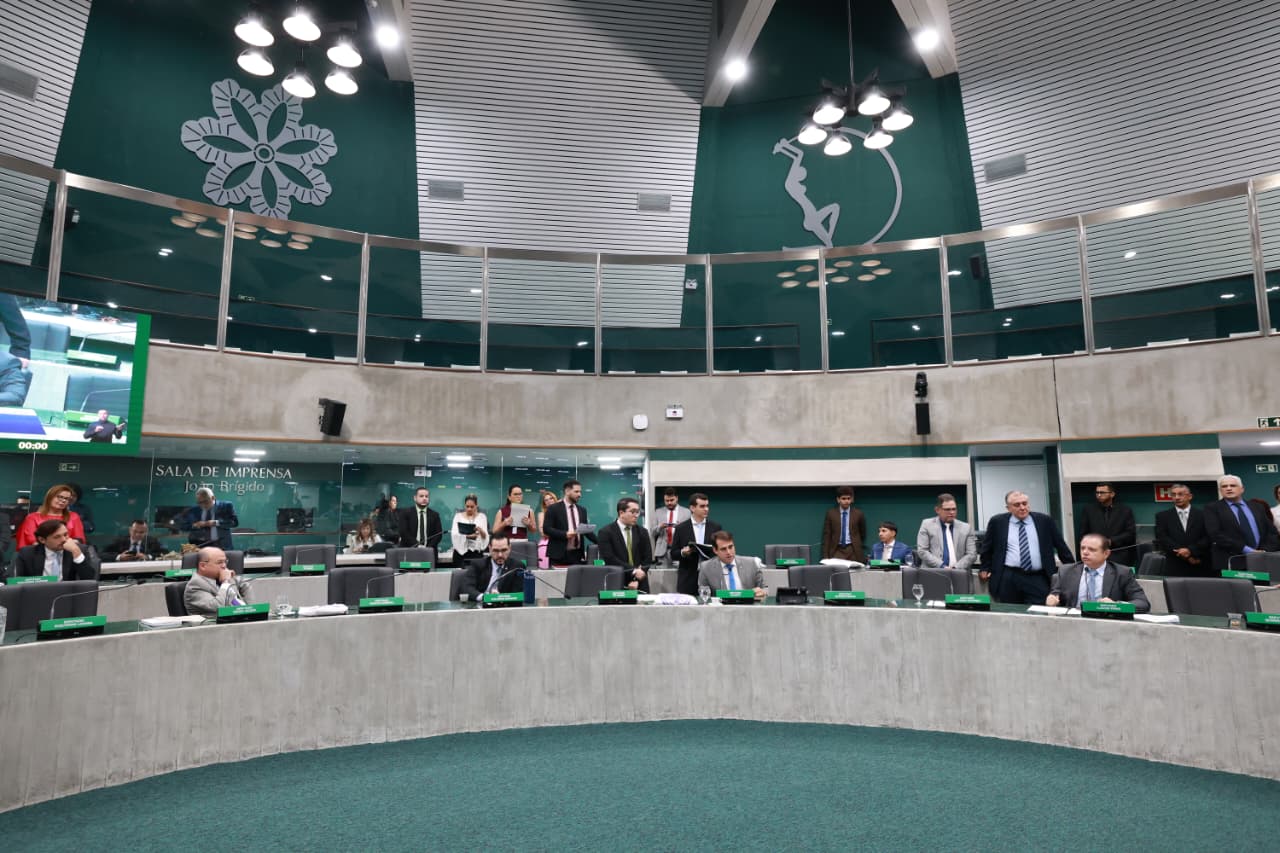 Novo programa estadual promete estimular cultivo de algodão e fortalecer agricultura