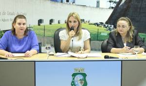 Comissão da Infância e Adolescência