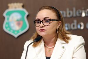 Deputada Eliane Novais (PSB)