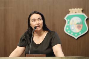 Dep. Dra. Silvana ( PMDB )
