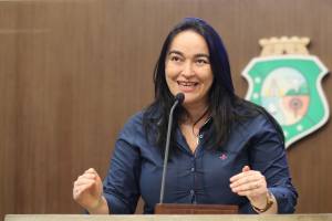 Dep. Dra. Silvana ( PMDB )
