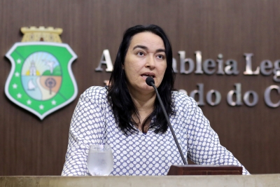 Dep. Dra. Silvana ( PMDB )