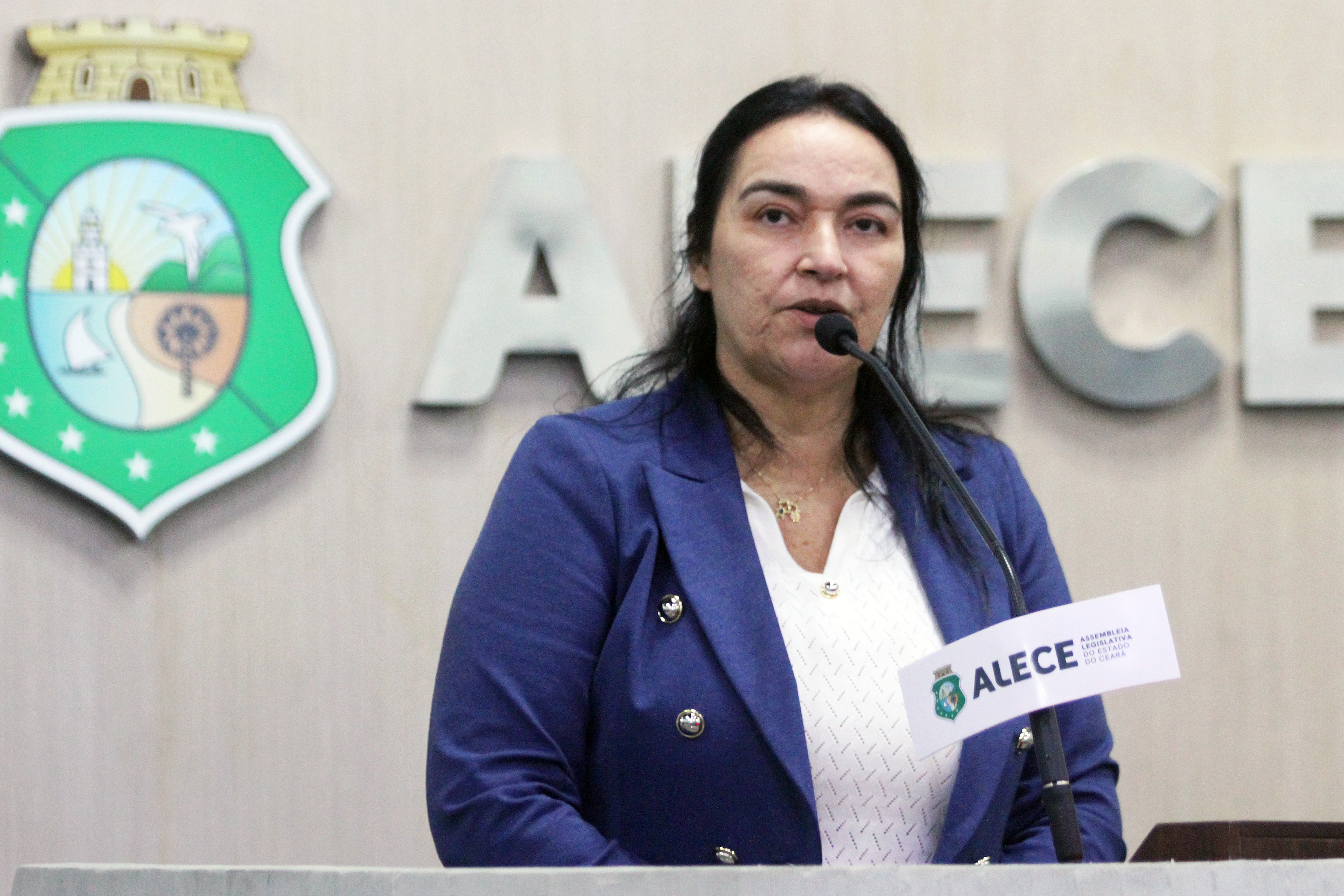 Deputada Dra. Silvana (PL)