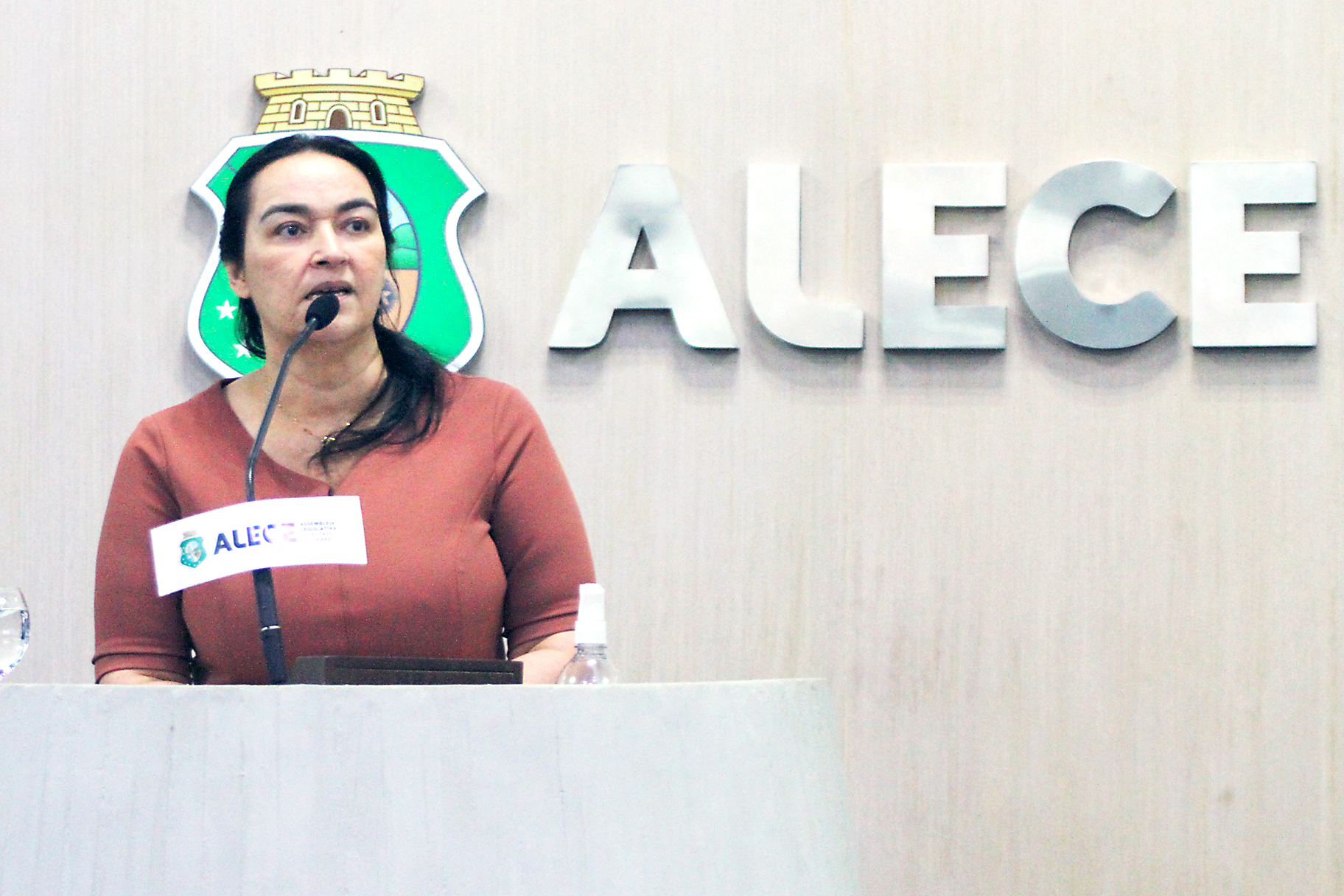 Deputada Dra. Silvana (PL)