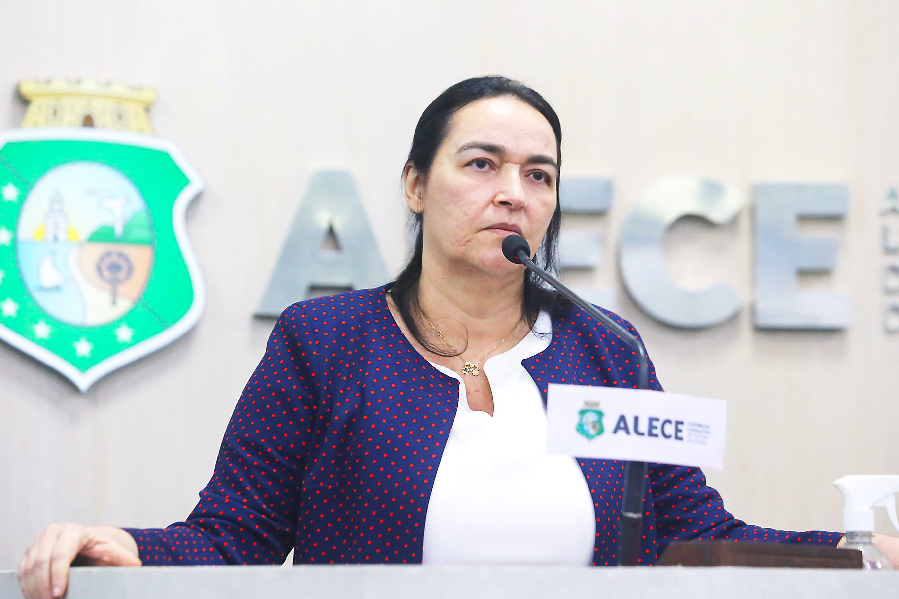 Deputada Dra. Silvana (PL)