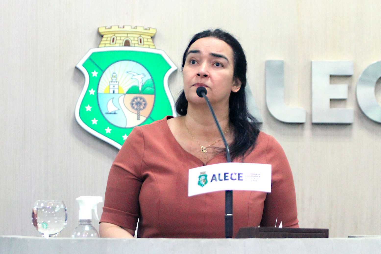 Deputada Dra. Silvana (PL)