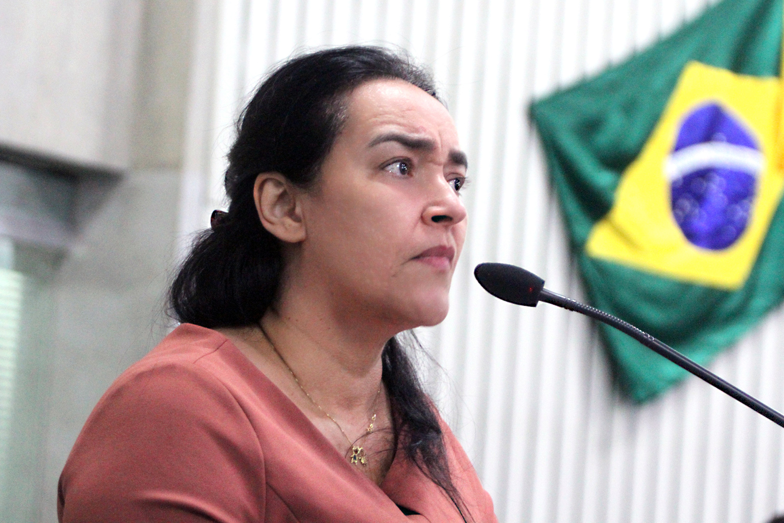 Deputada Dra. Silvana (PL)