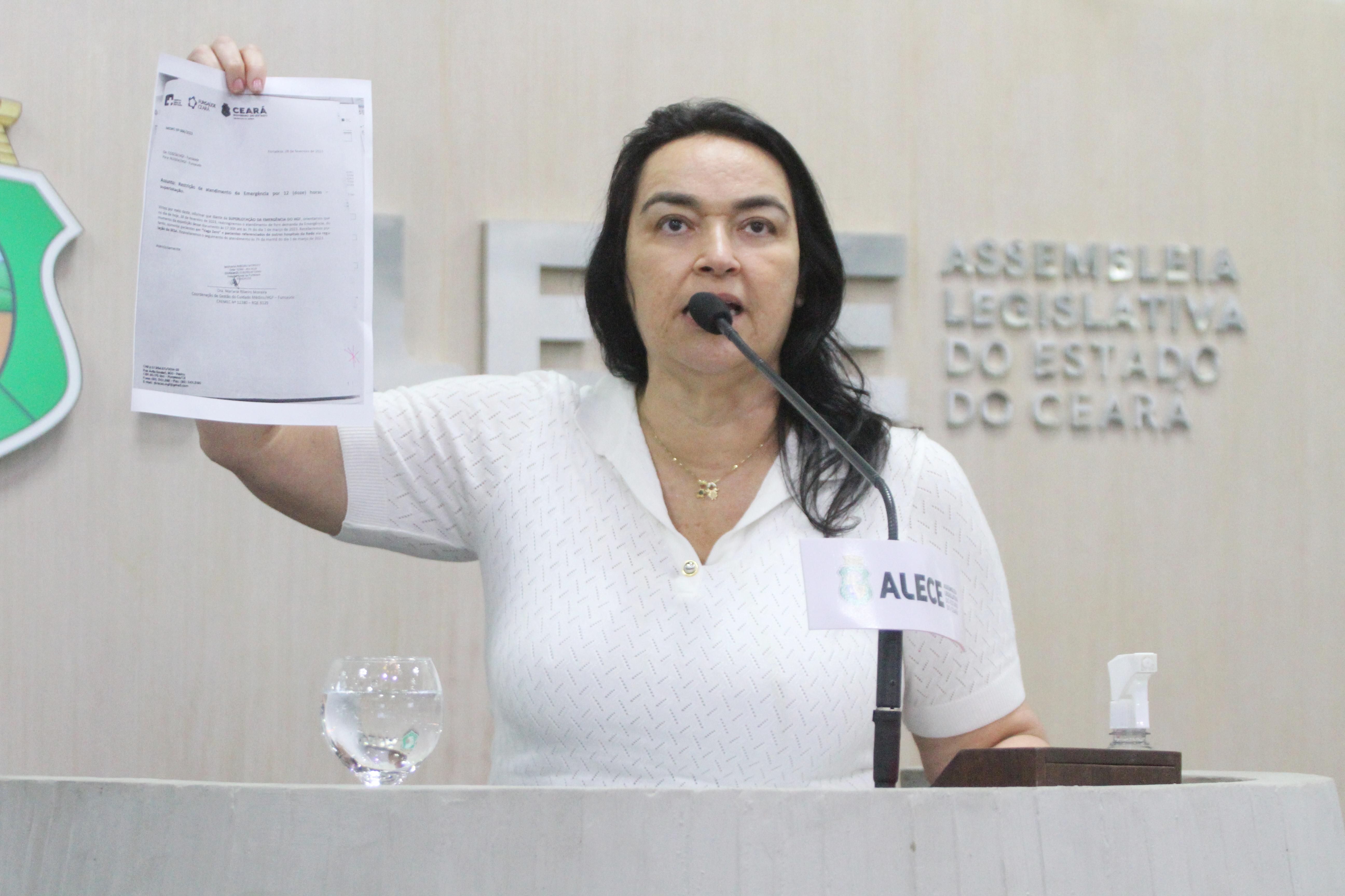 Deputada Dra. Silvana (PL)