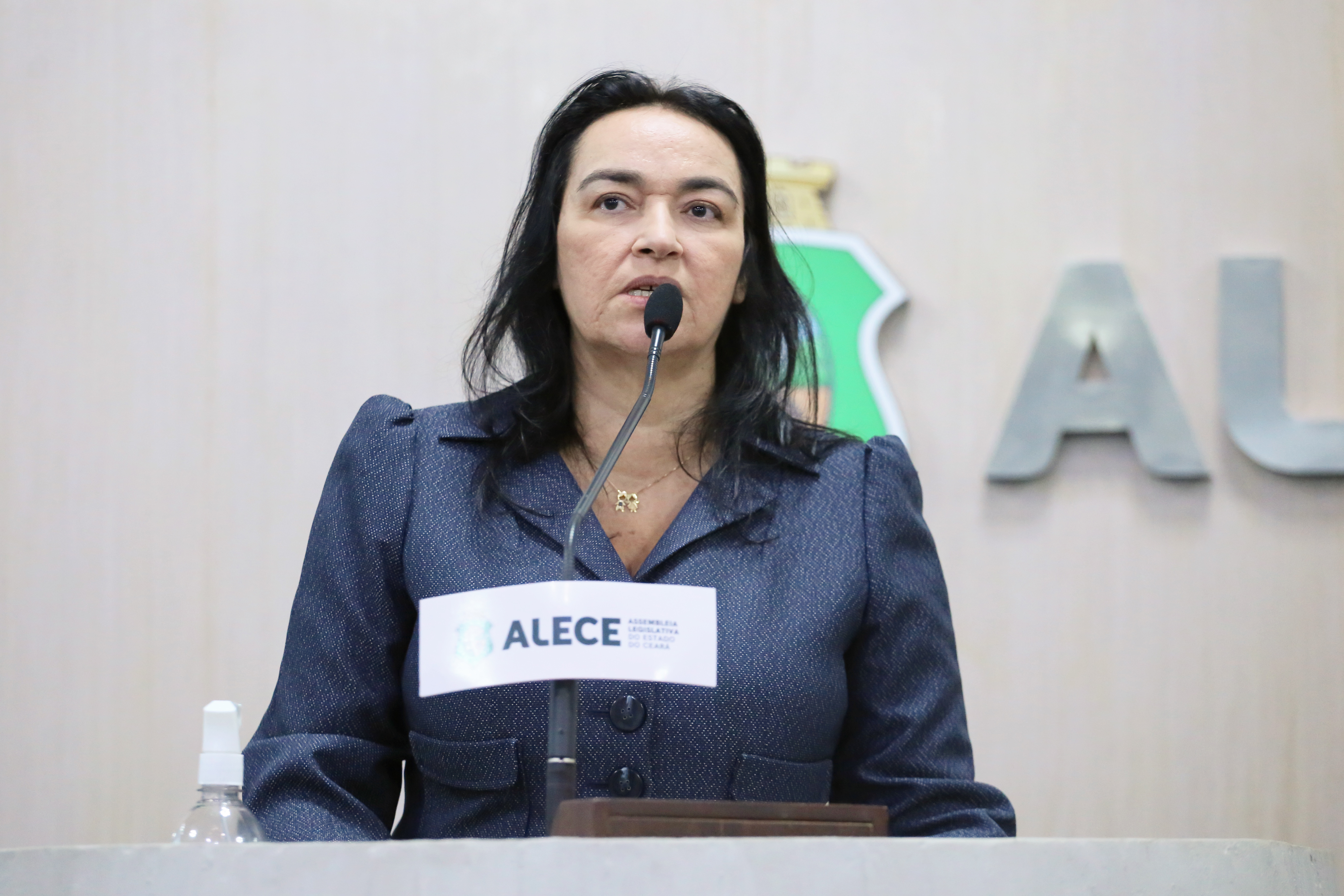 Deputada Dra. Silvana (PL)