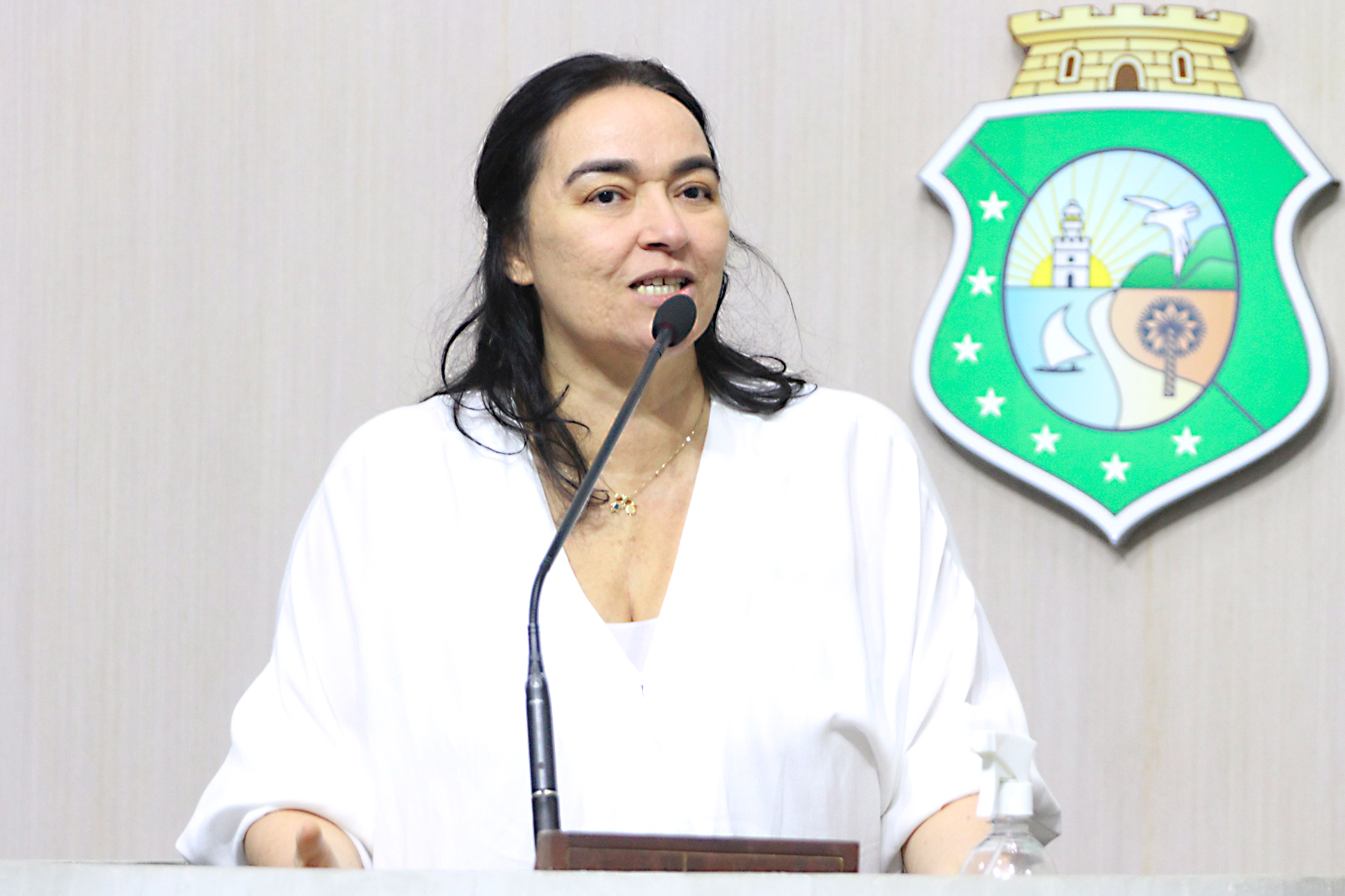 Deputada Dra. Silvana (PL)