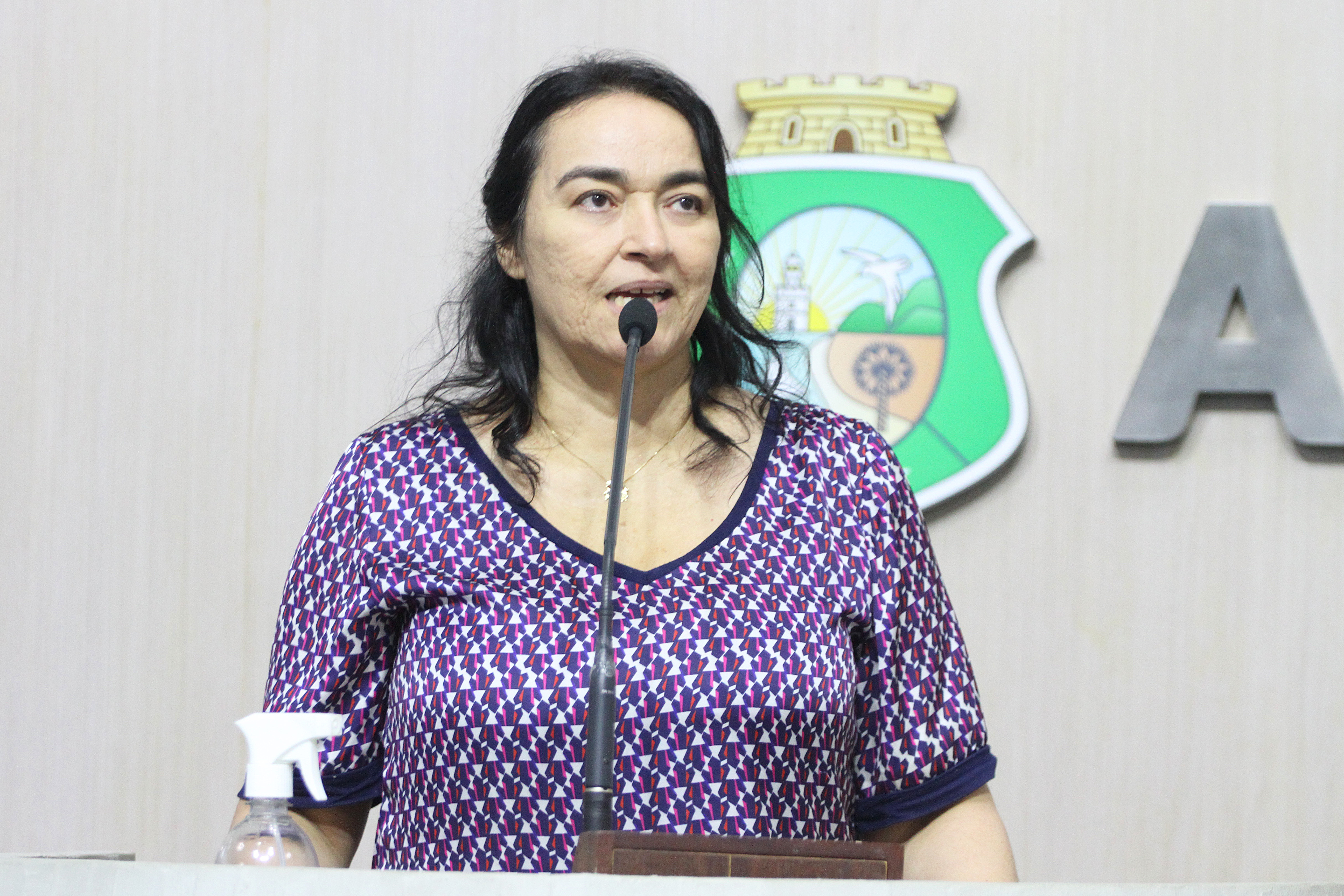 Deputada Dra. Silvana (PL)