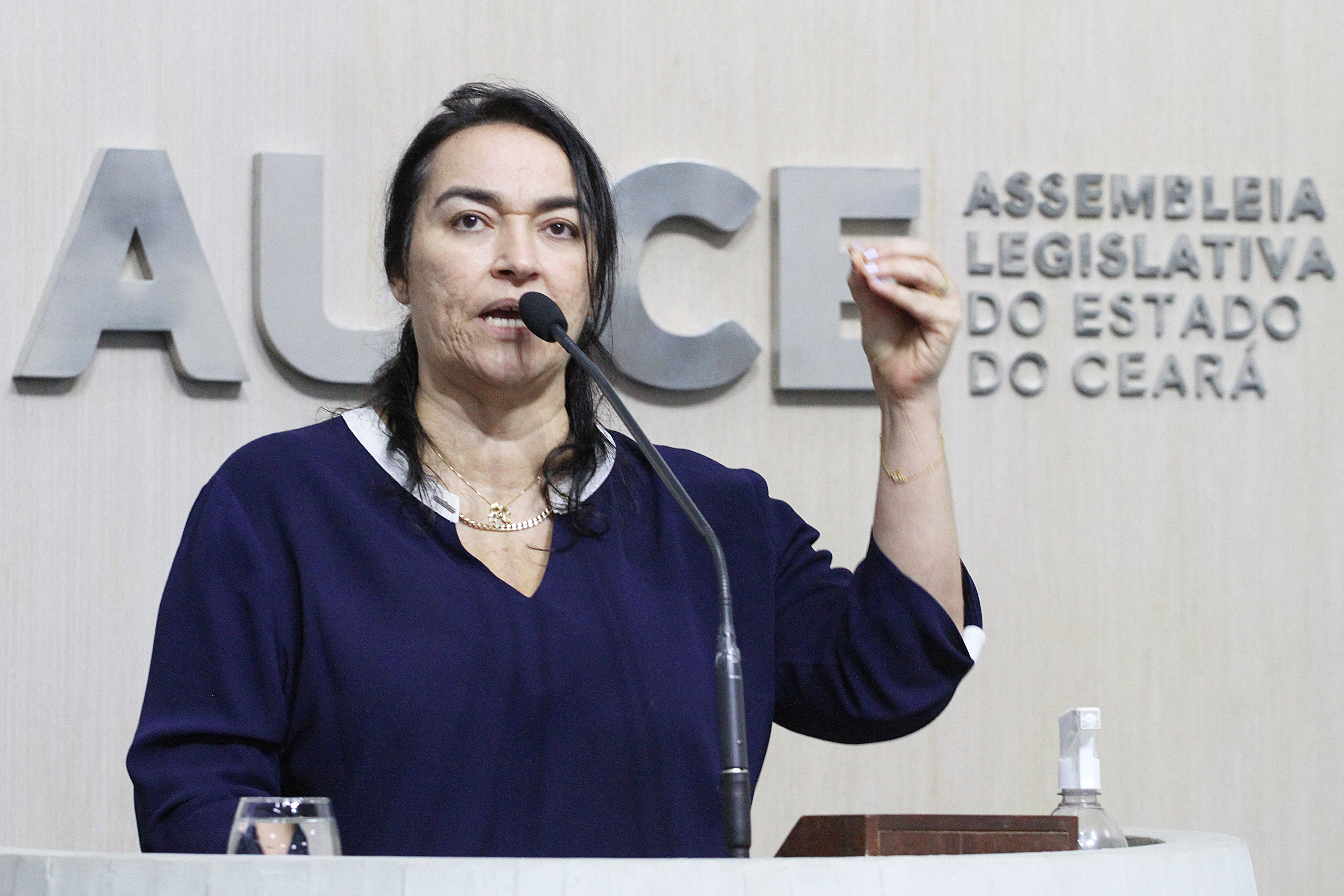 Deputada Dra. Silvana (PL)