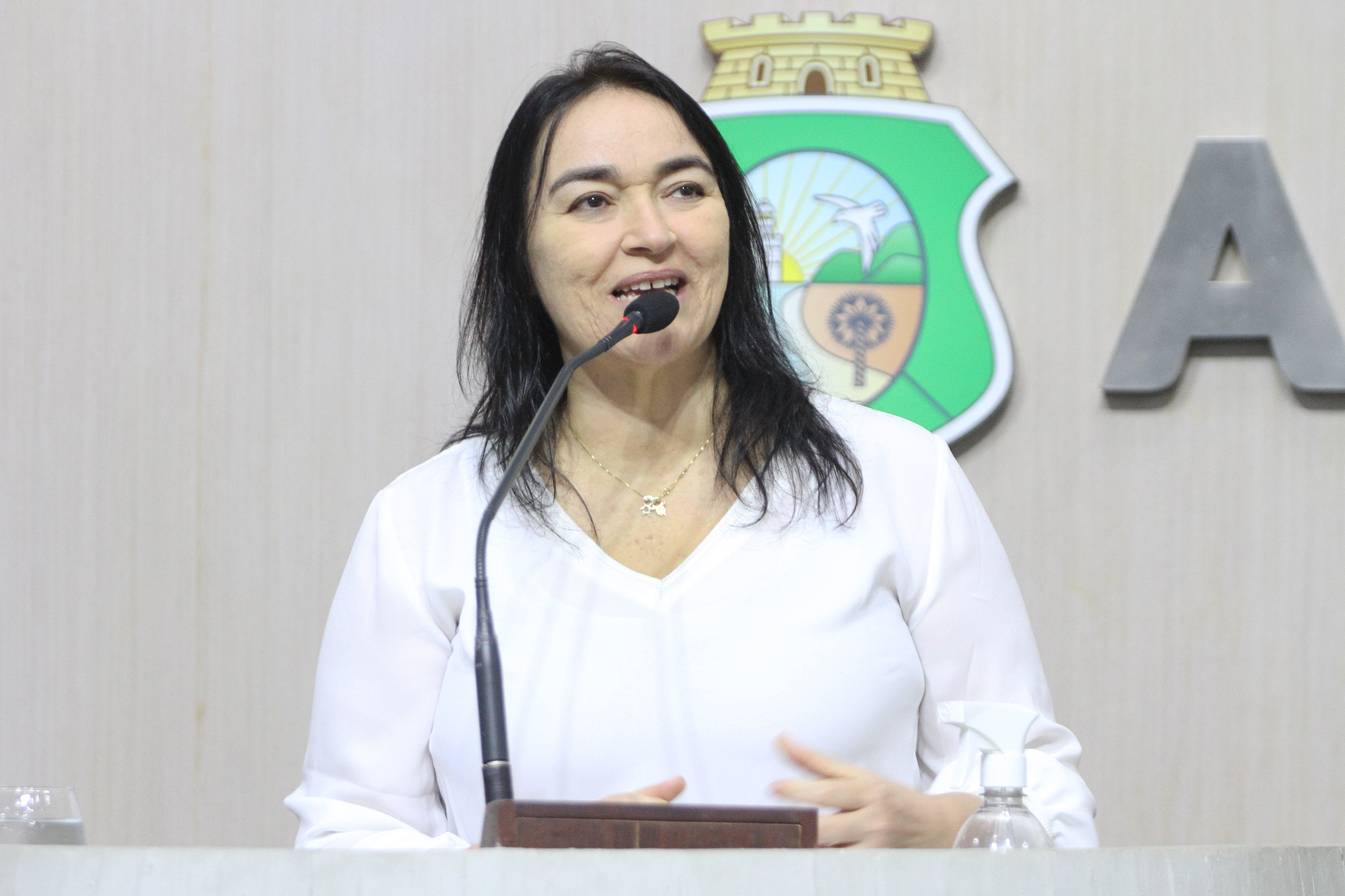 Deputada Dra. Silvana (PL)