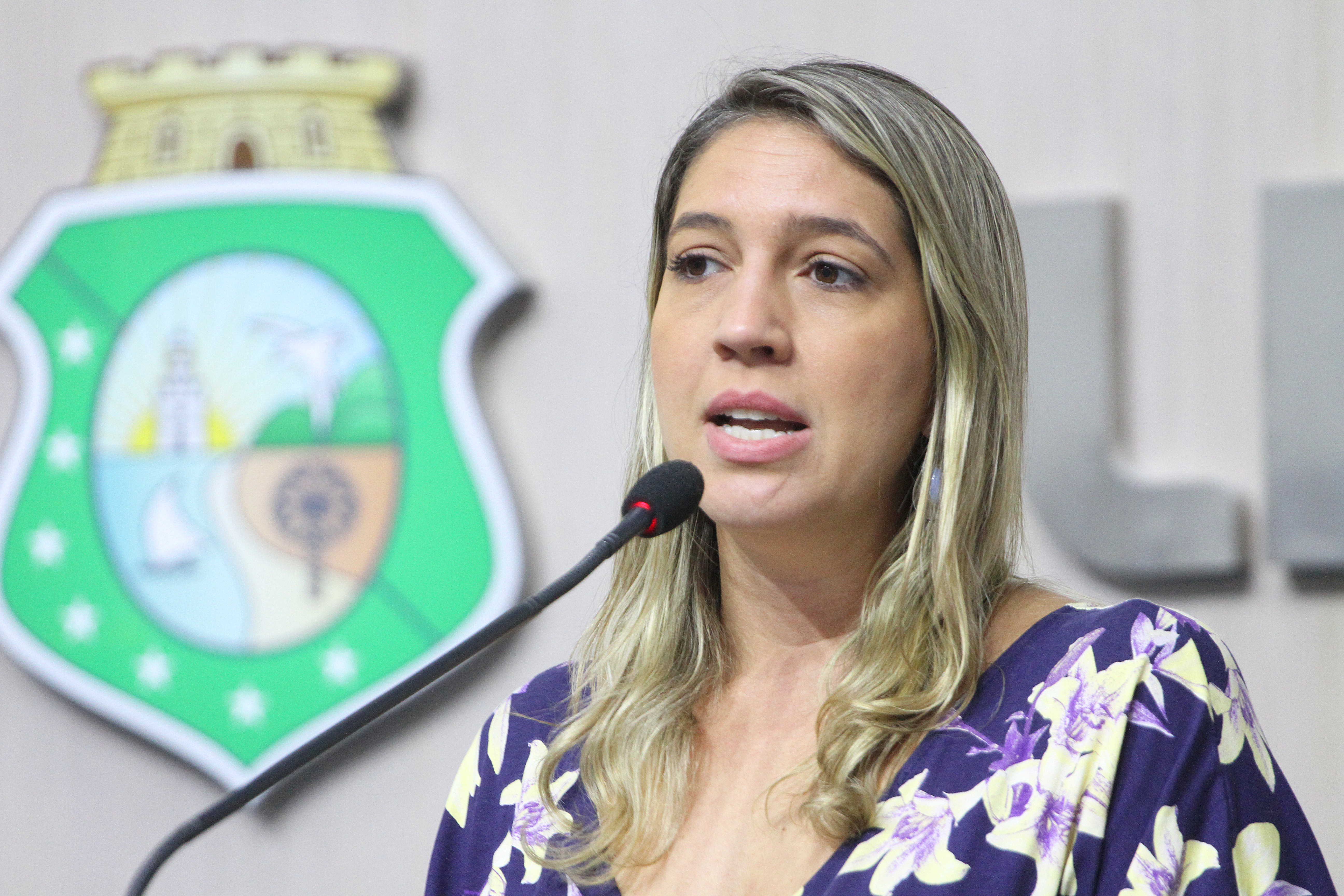 Deputada Larissa Gaspar (PT)