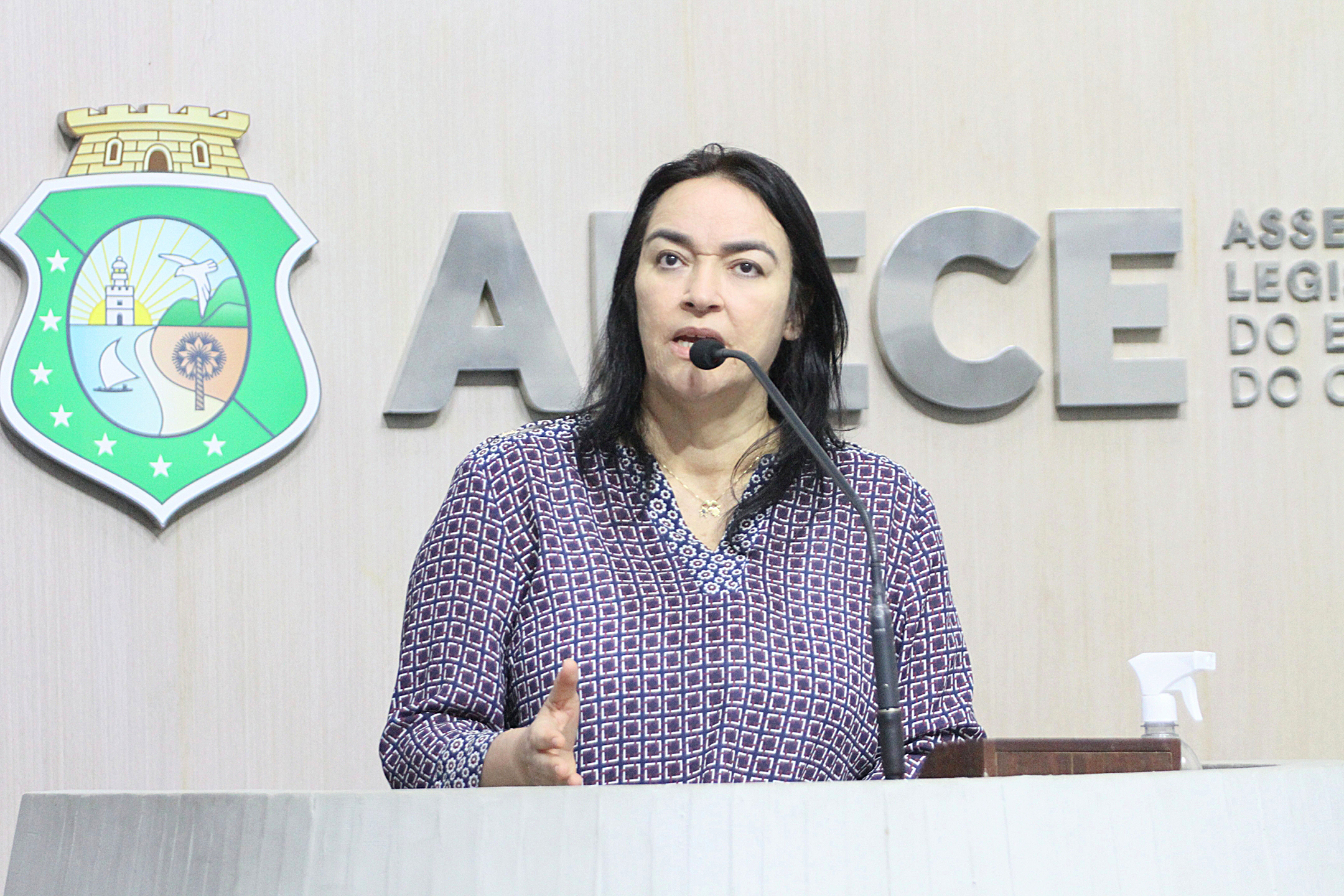 Deputada Dra. Silvana (PL)