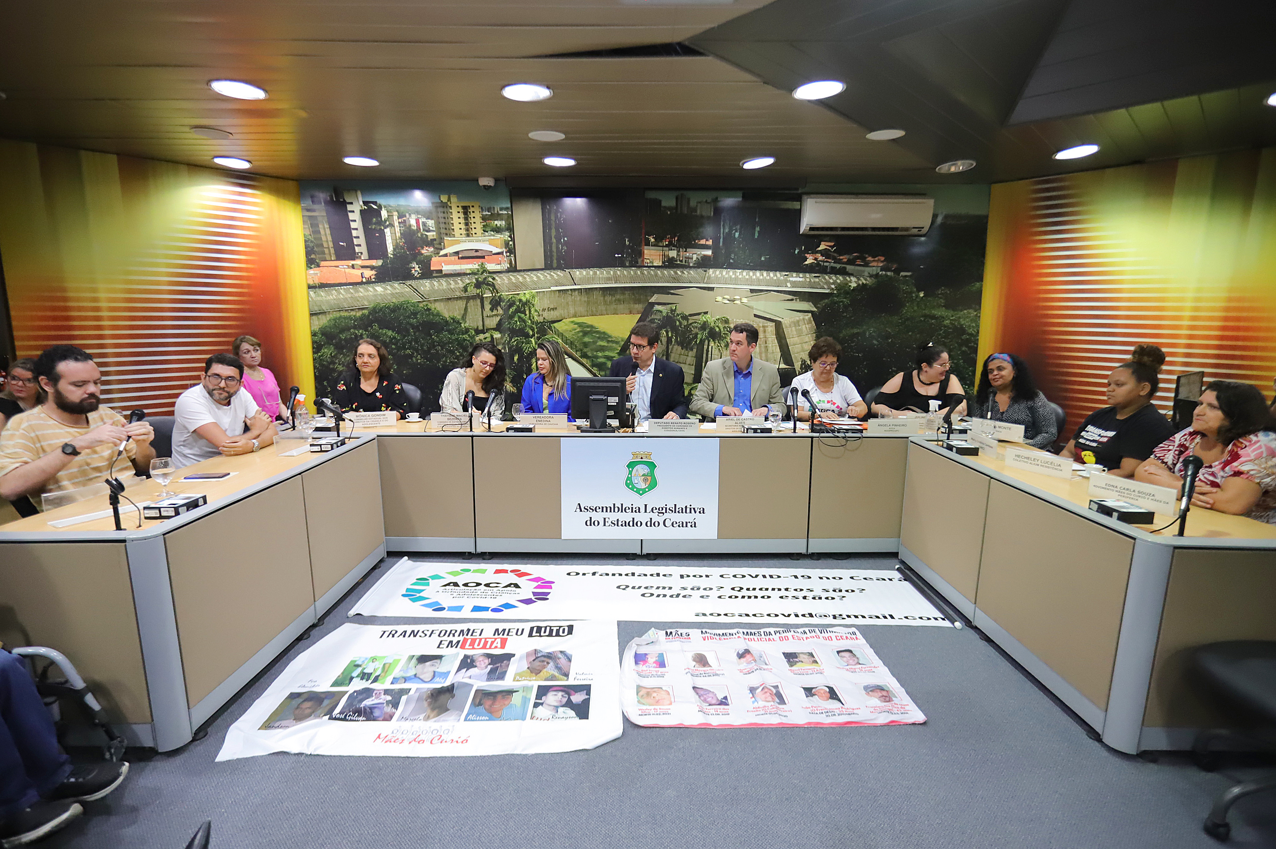 Comissões defendem ações integradas para garantir direitos de crianças e adolescentes