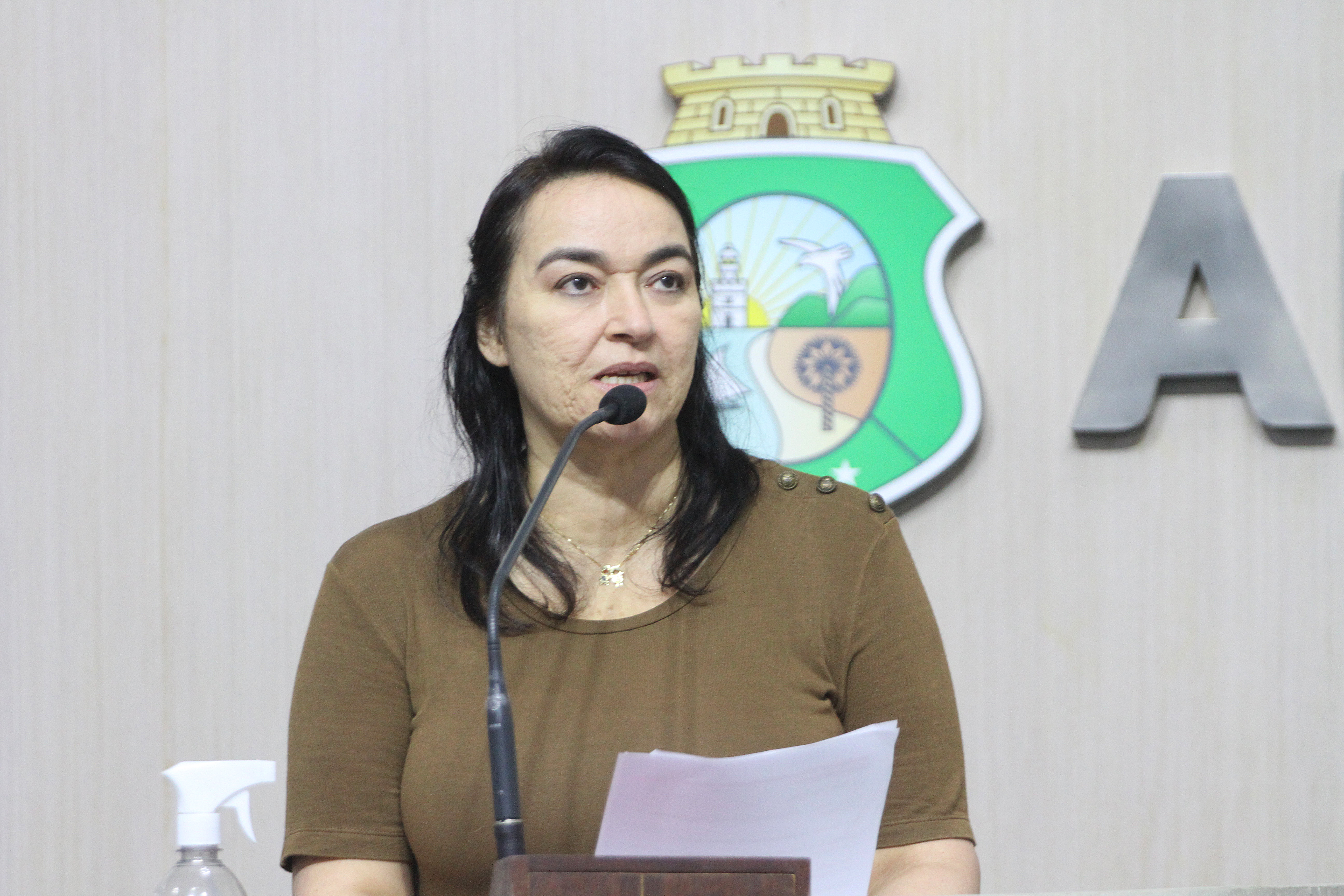 Deputada Dra. Silvana (PL)