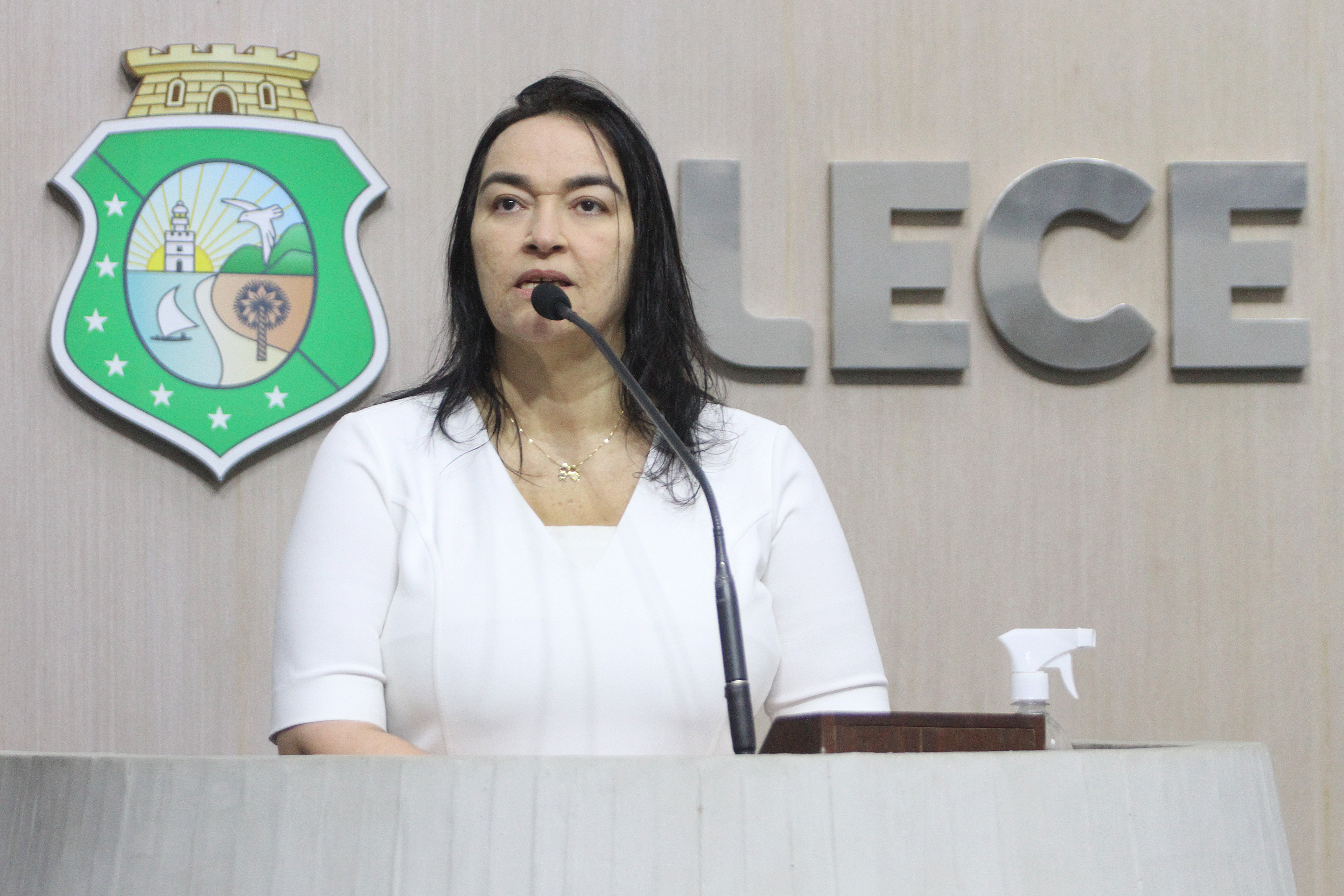 Deputada Dra. Silvana (PL)