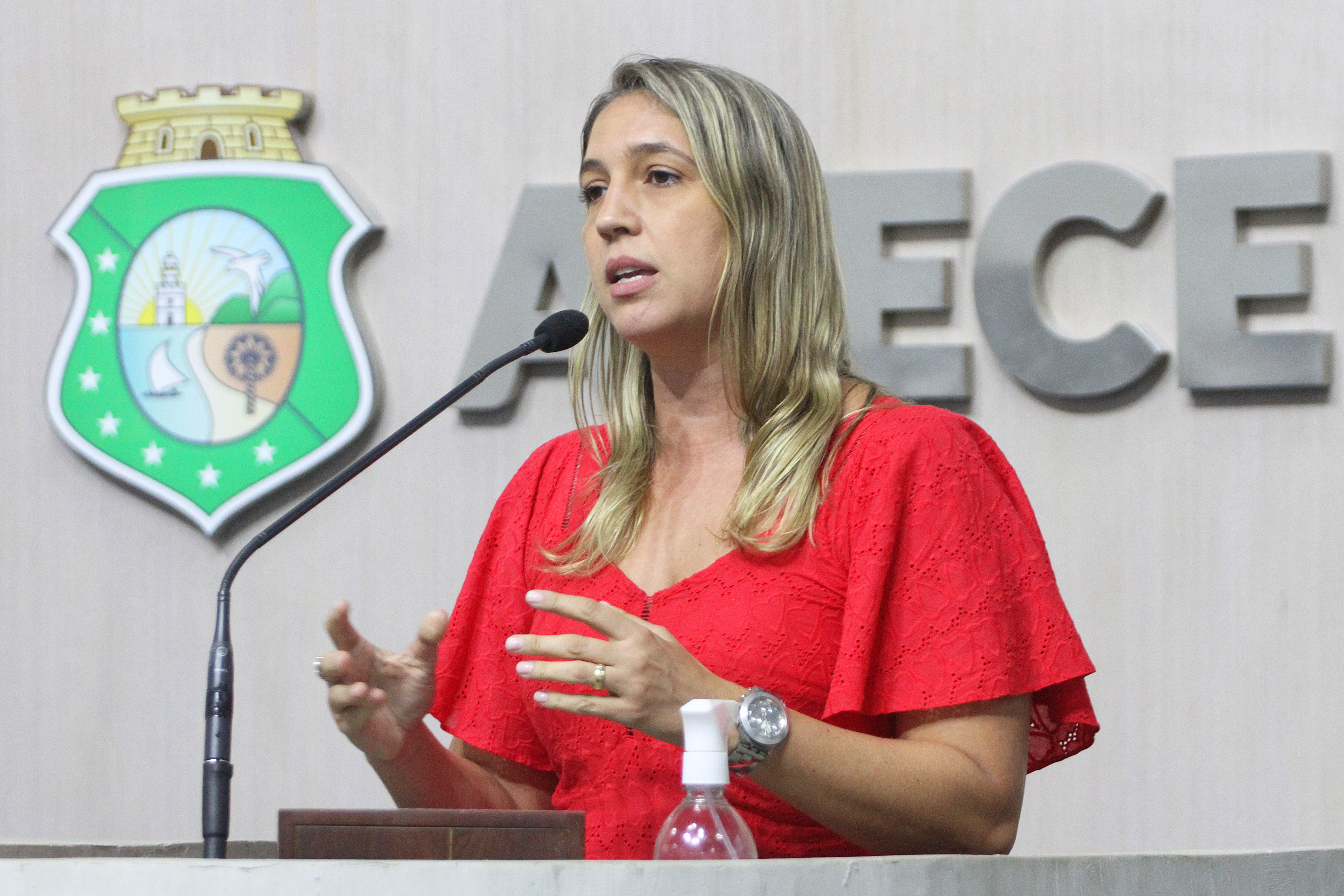 Deputada Larissa Gaspar (PT)