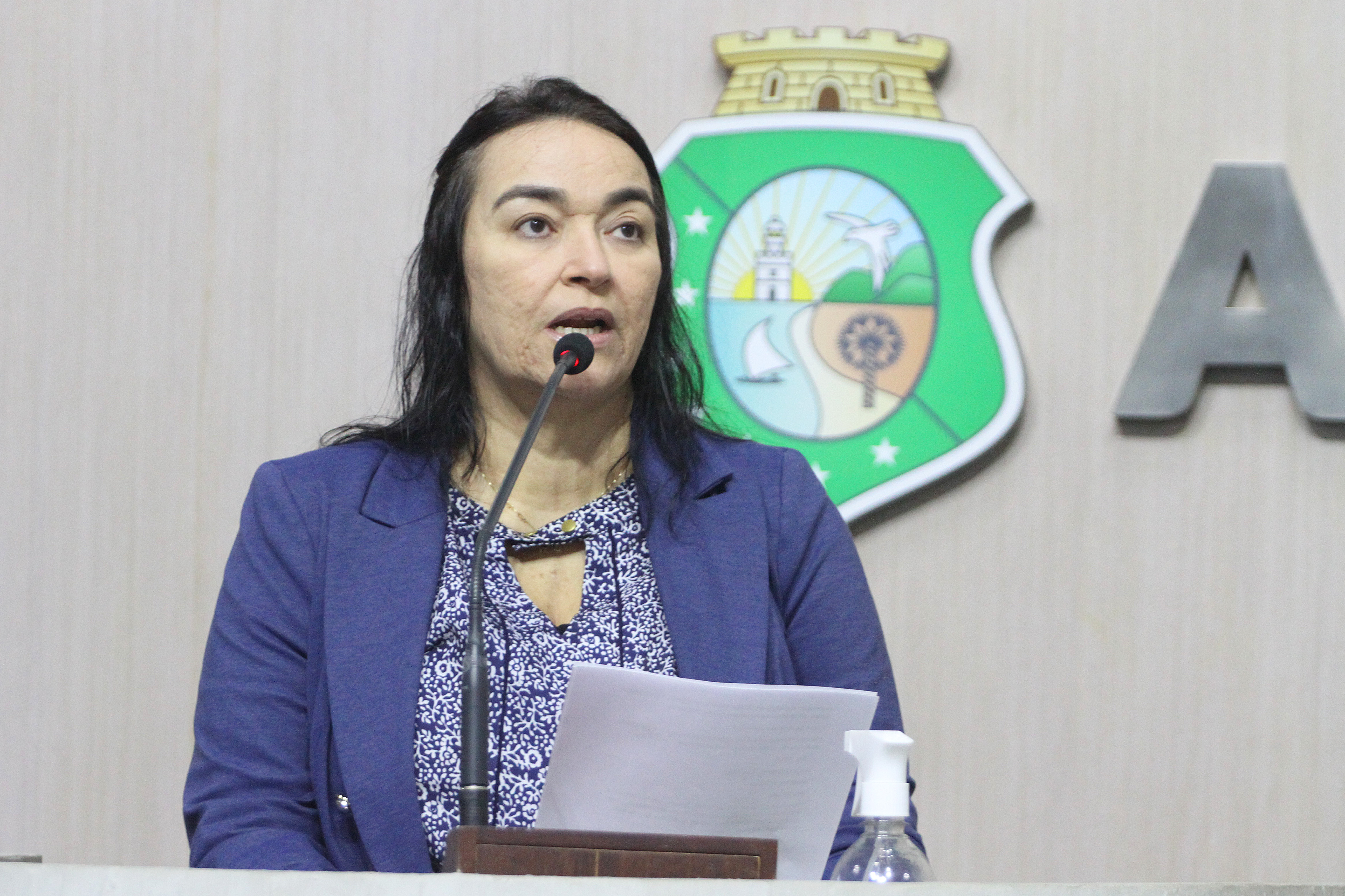 Deputada Dra. Silvana (PL)