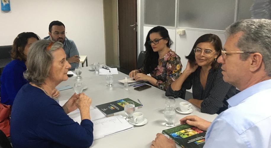 Comissão do Conselho de Altos Estudos entrega Plano Estratégico do Saneamento Básico à Secretaria de Cidades