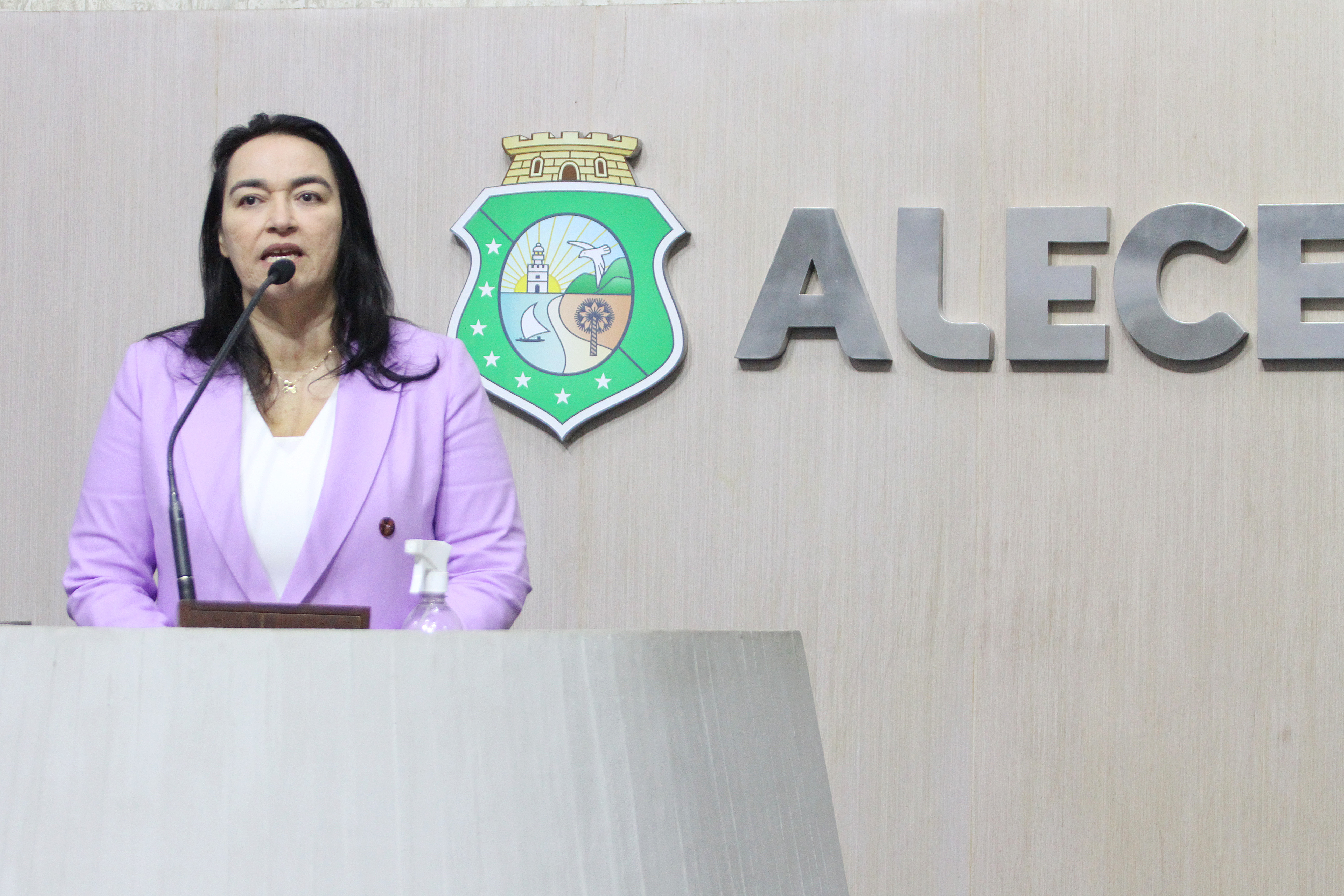 Deputada Dra. Silvana (PL)