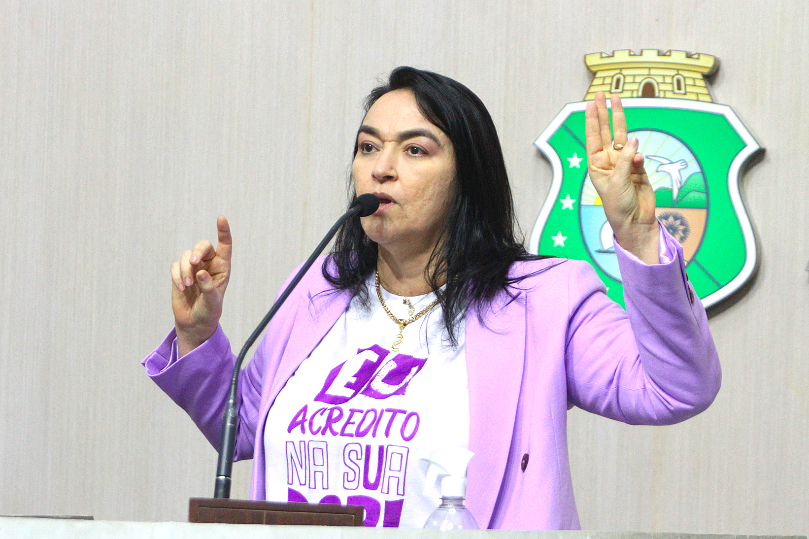 Deputada Dra. Silvana (PL)