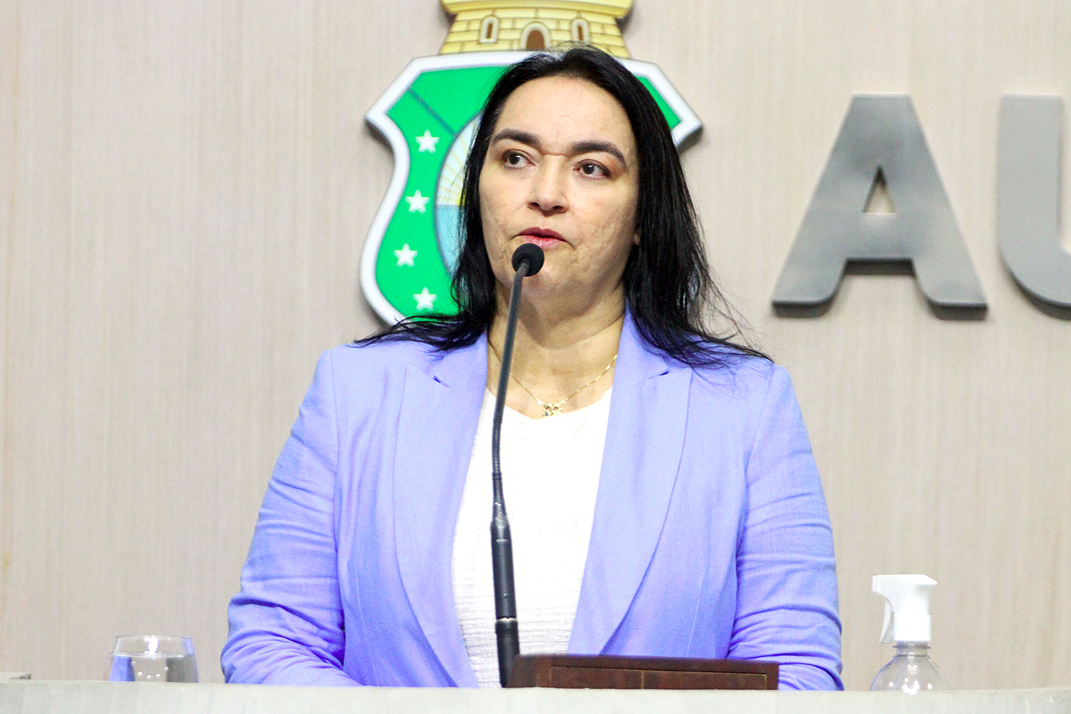 Deputada Dra. Silvana (PL)