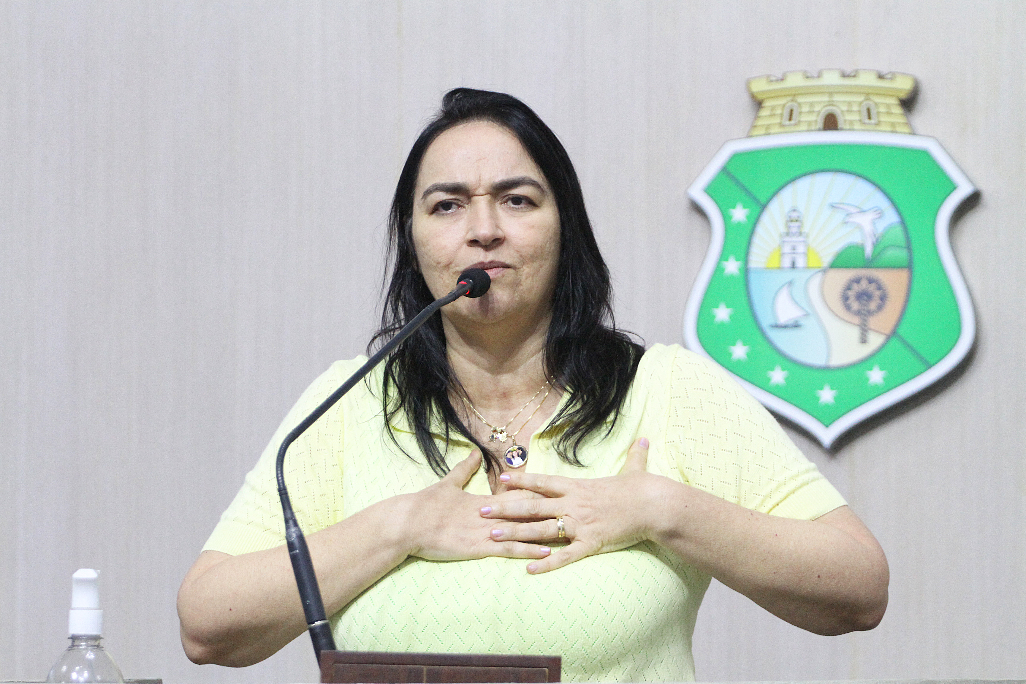 Deputada Dra. Silvana (PL)