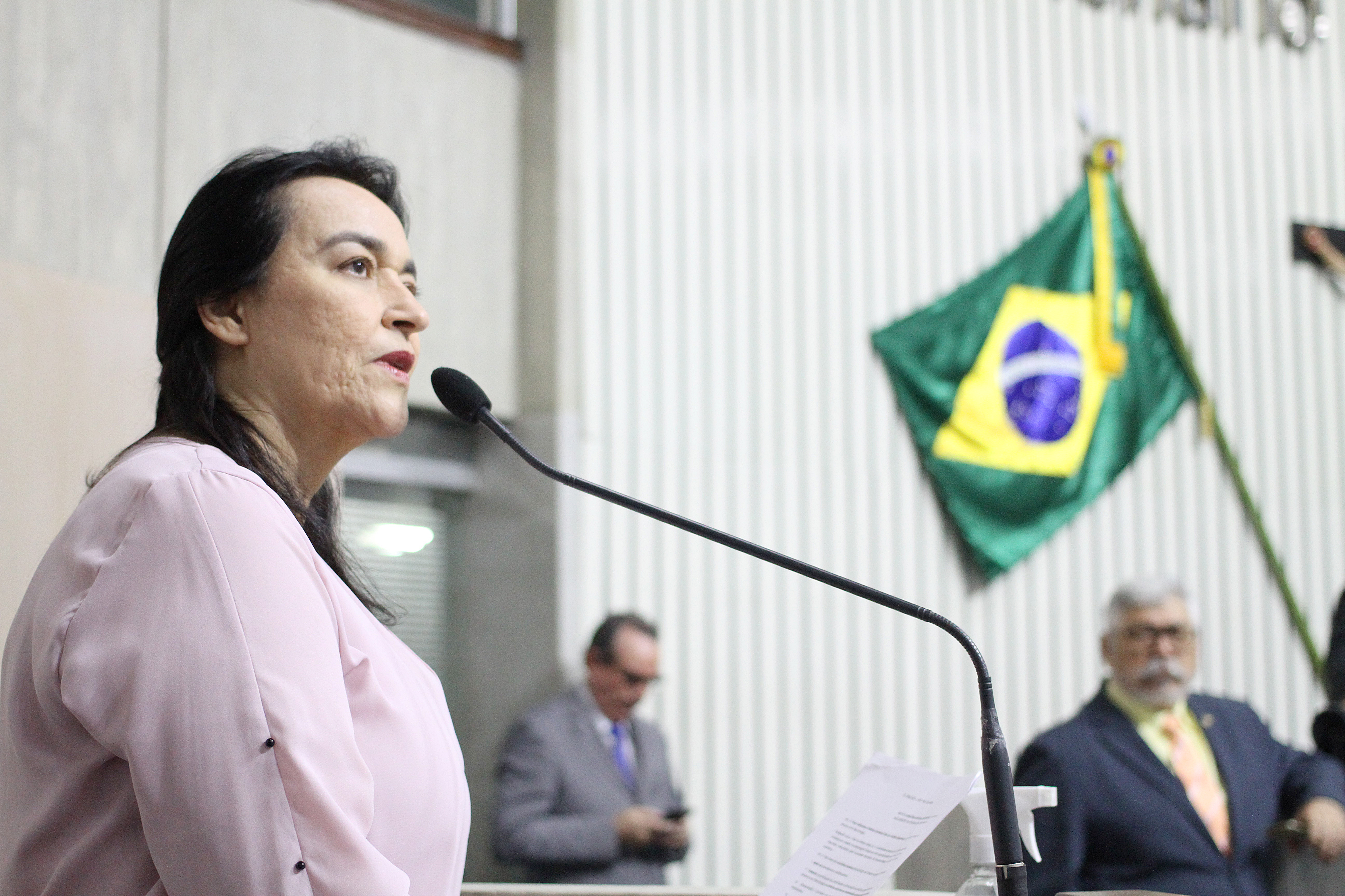 Dep. Dra. Silvana ( PL )