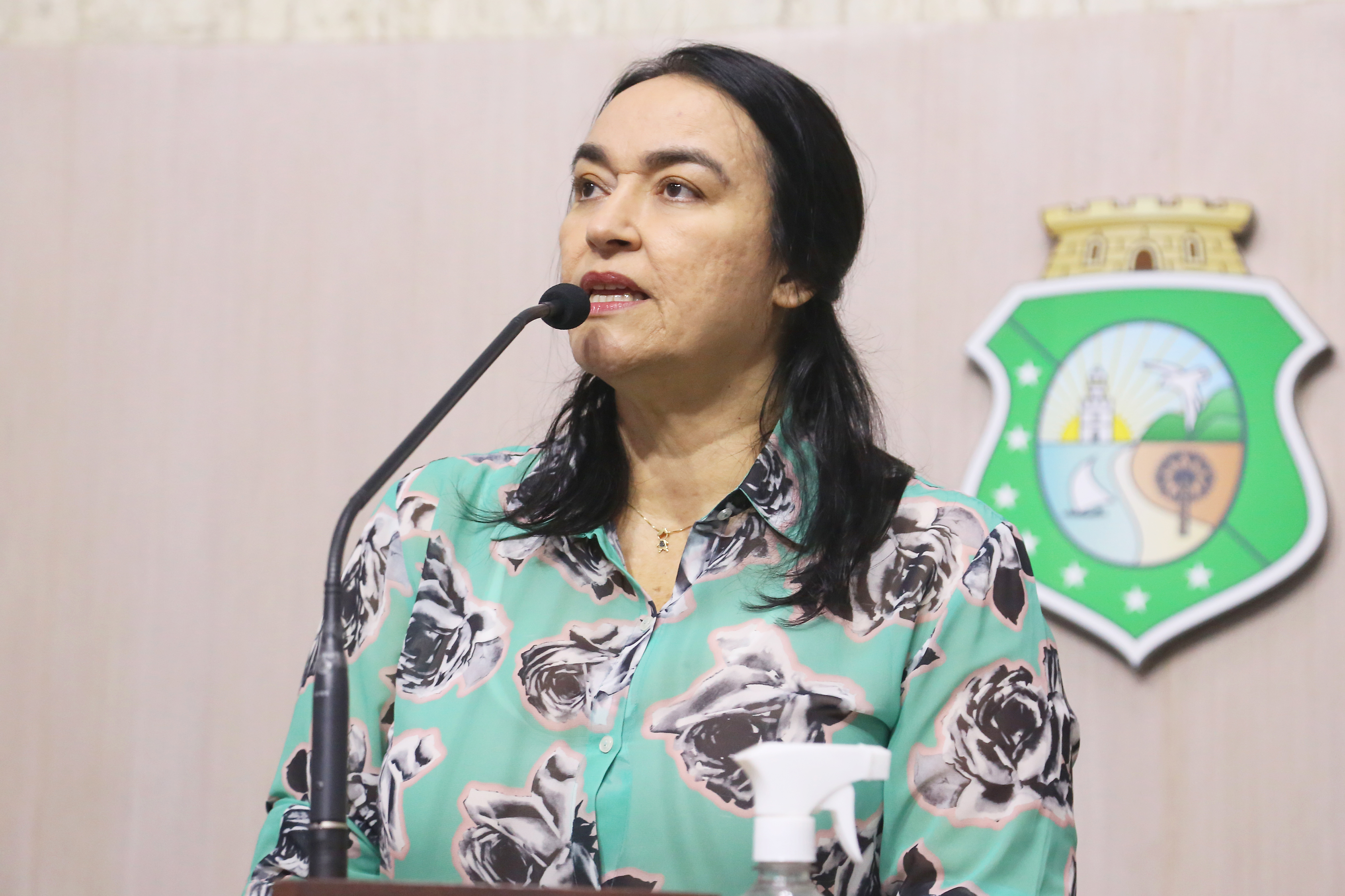 Dep. Dra. Silvana ( PL )