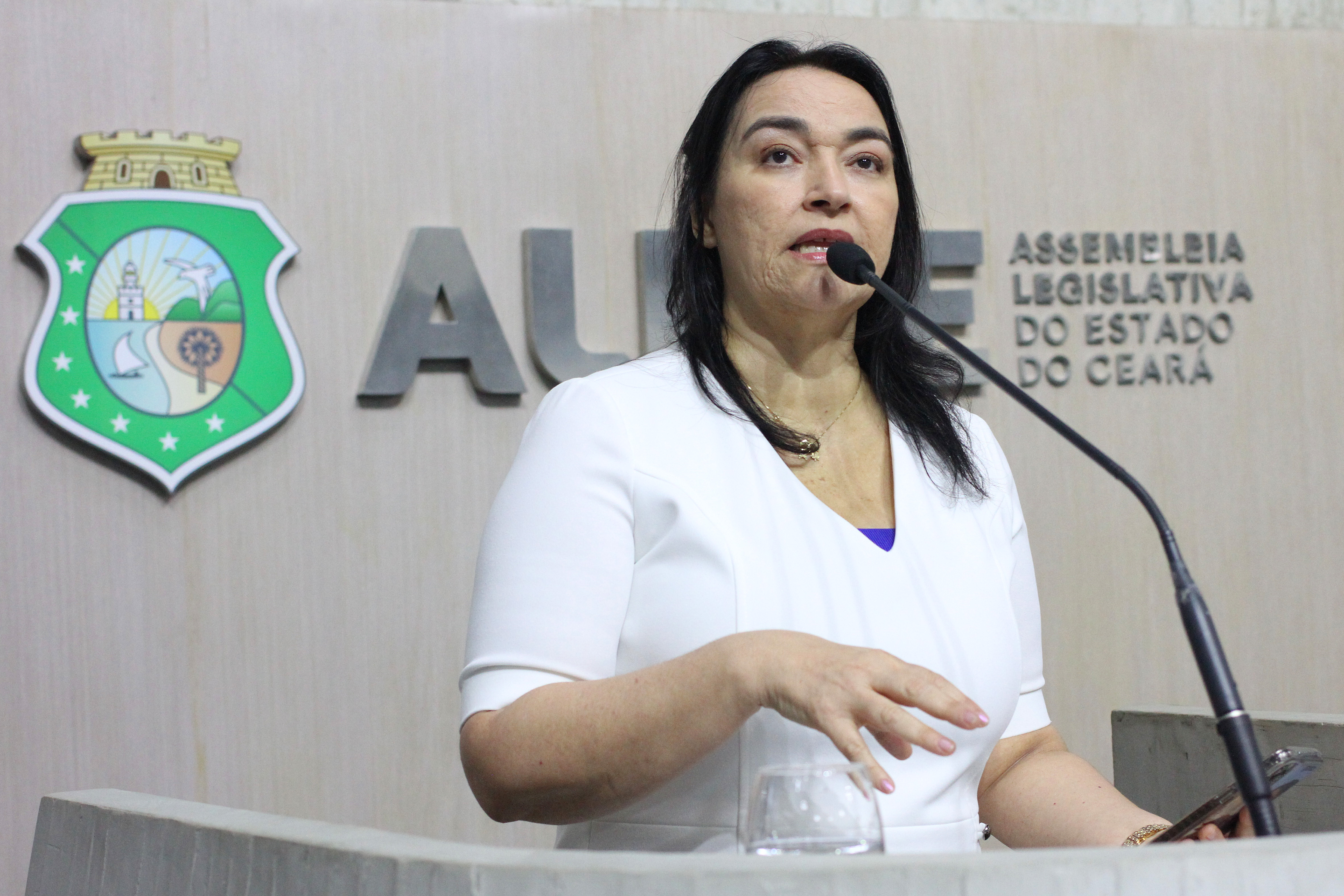 Deputada Dra. Silvana (PL)