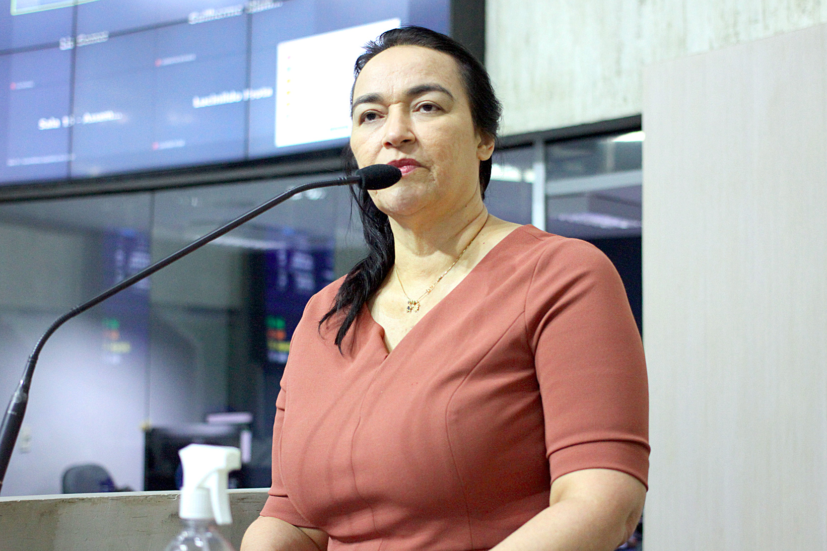 Deputada Dra. Silvana (PL)