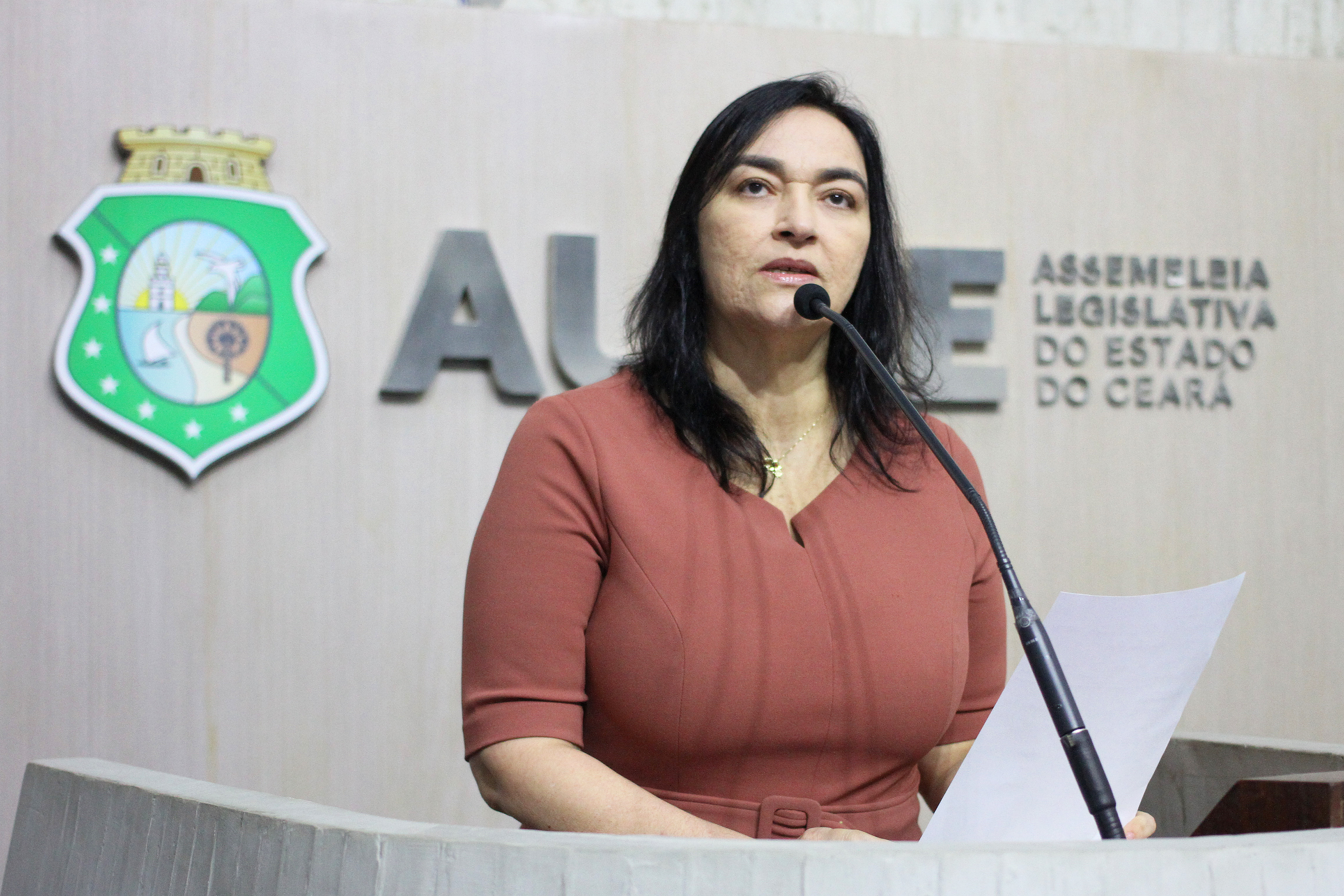 Deputada Dra. Silvana (PL)