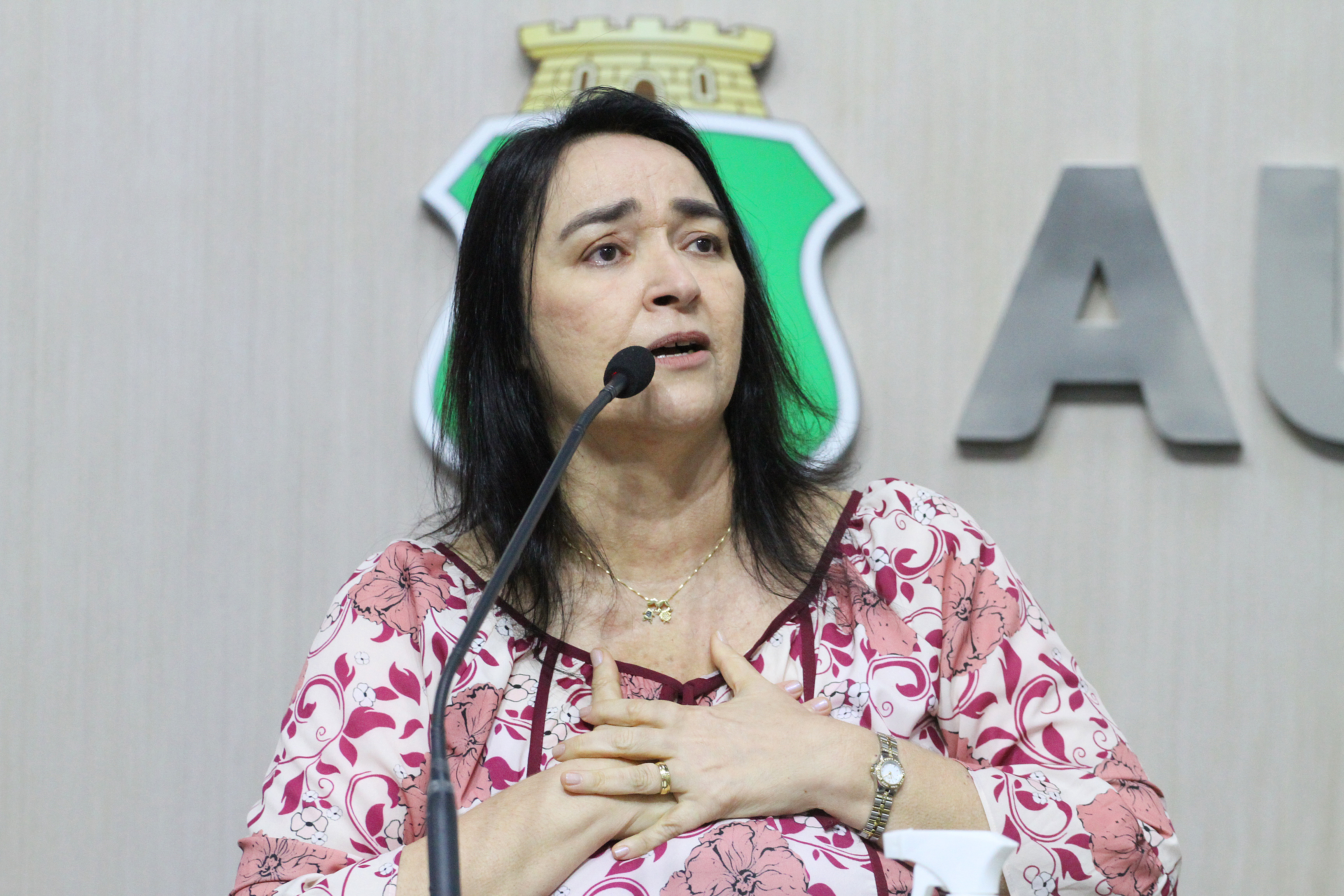 Deputada Dra. Silvana (PL)