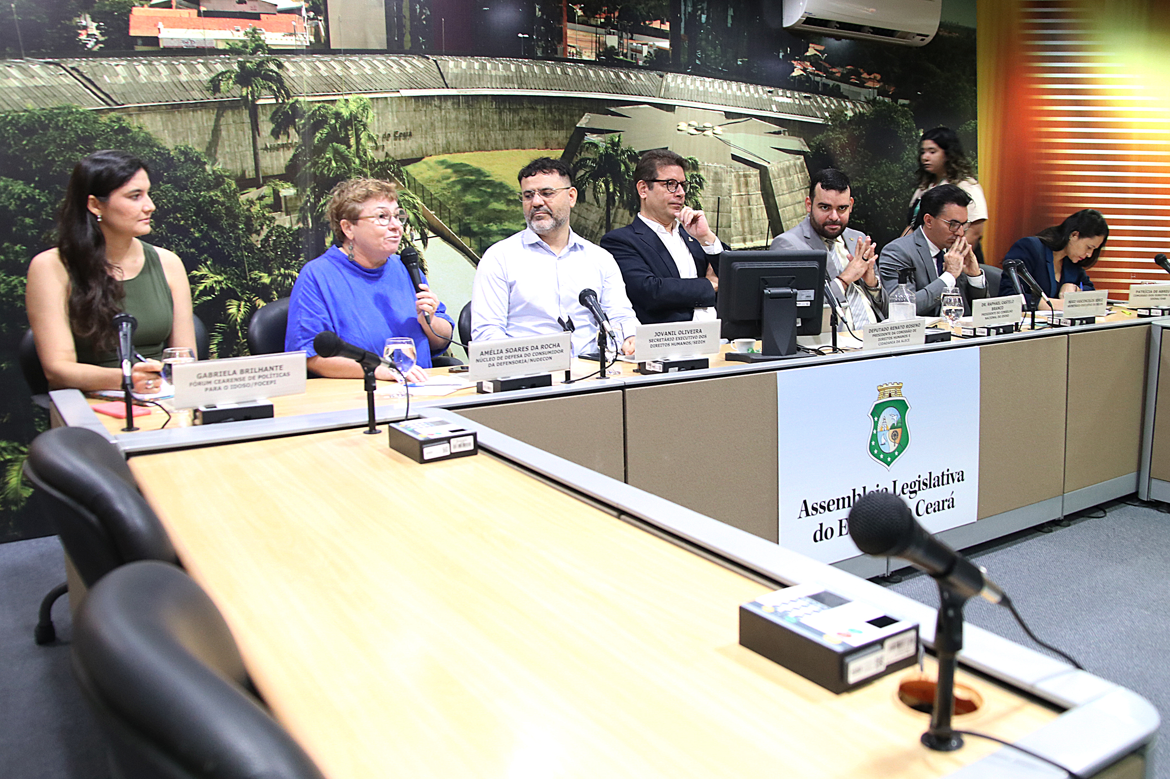 Alece realiza audiência pública para debater impactos do superendividamento da pessoa idosa