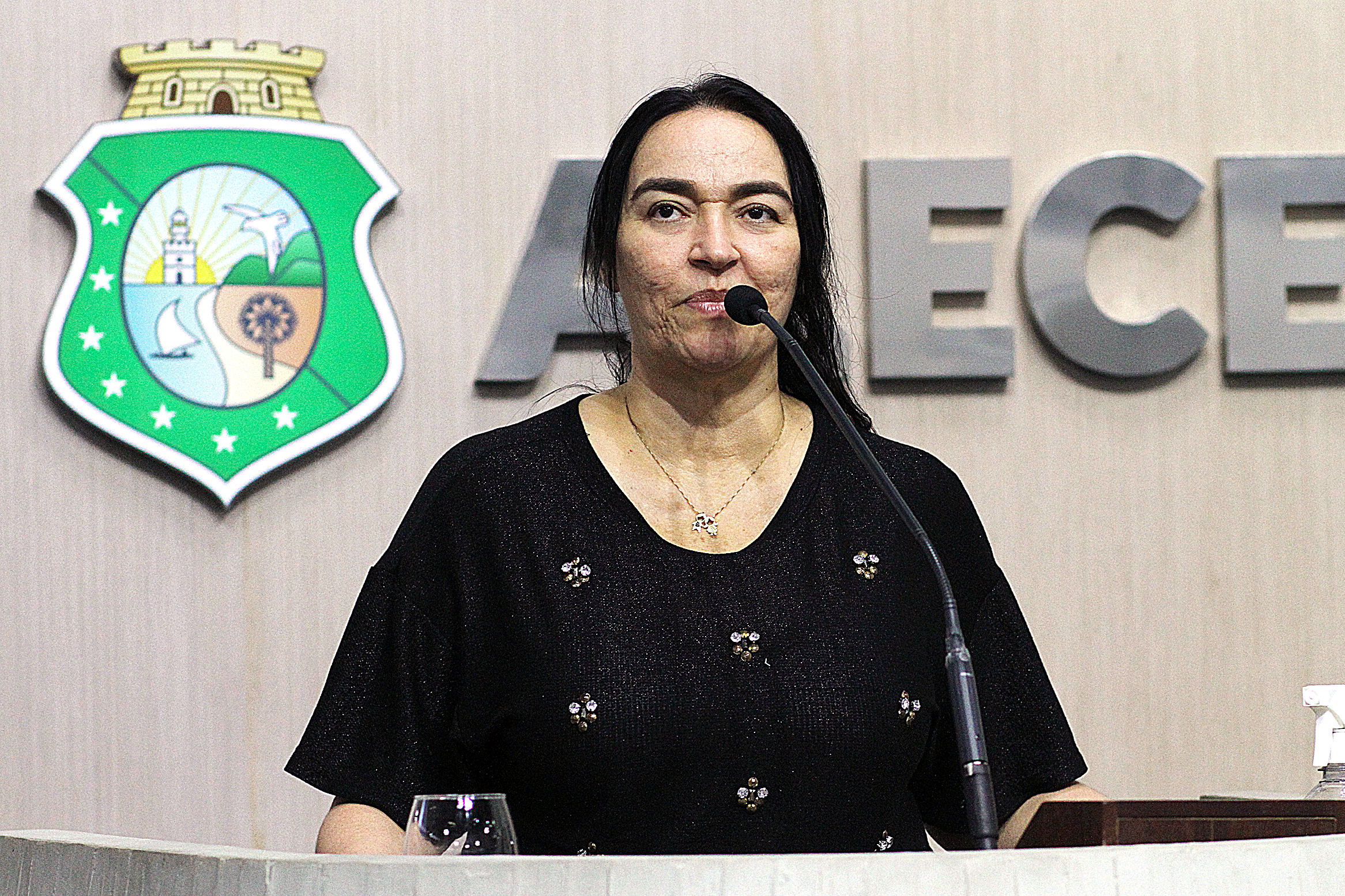 Deputada Dra. Silvana (PL)