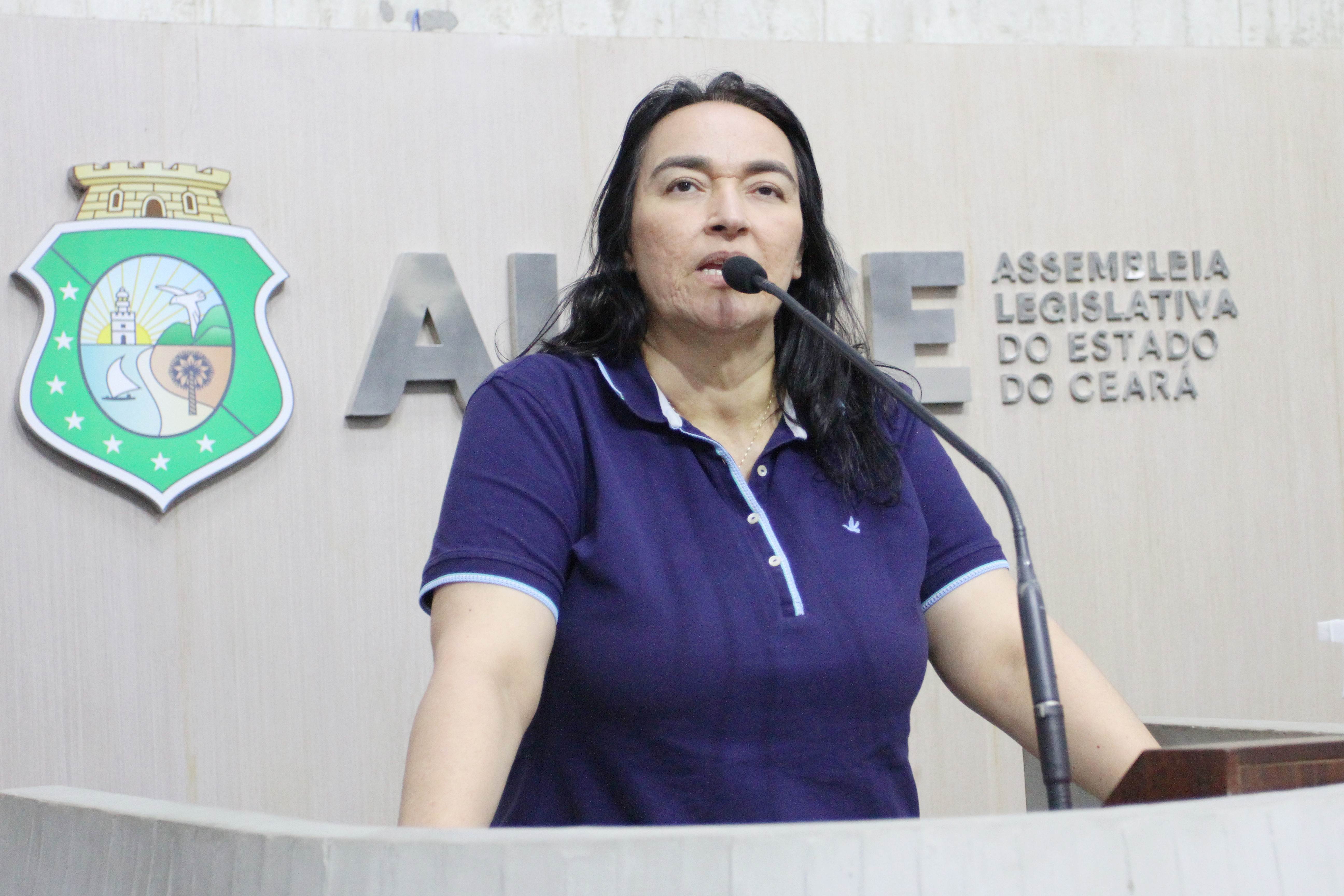 Dep. Dra. Silvana ( PL )