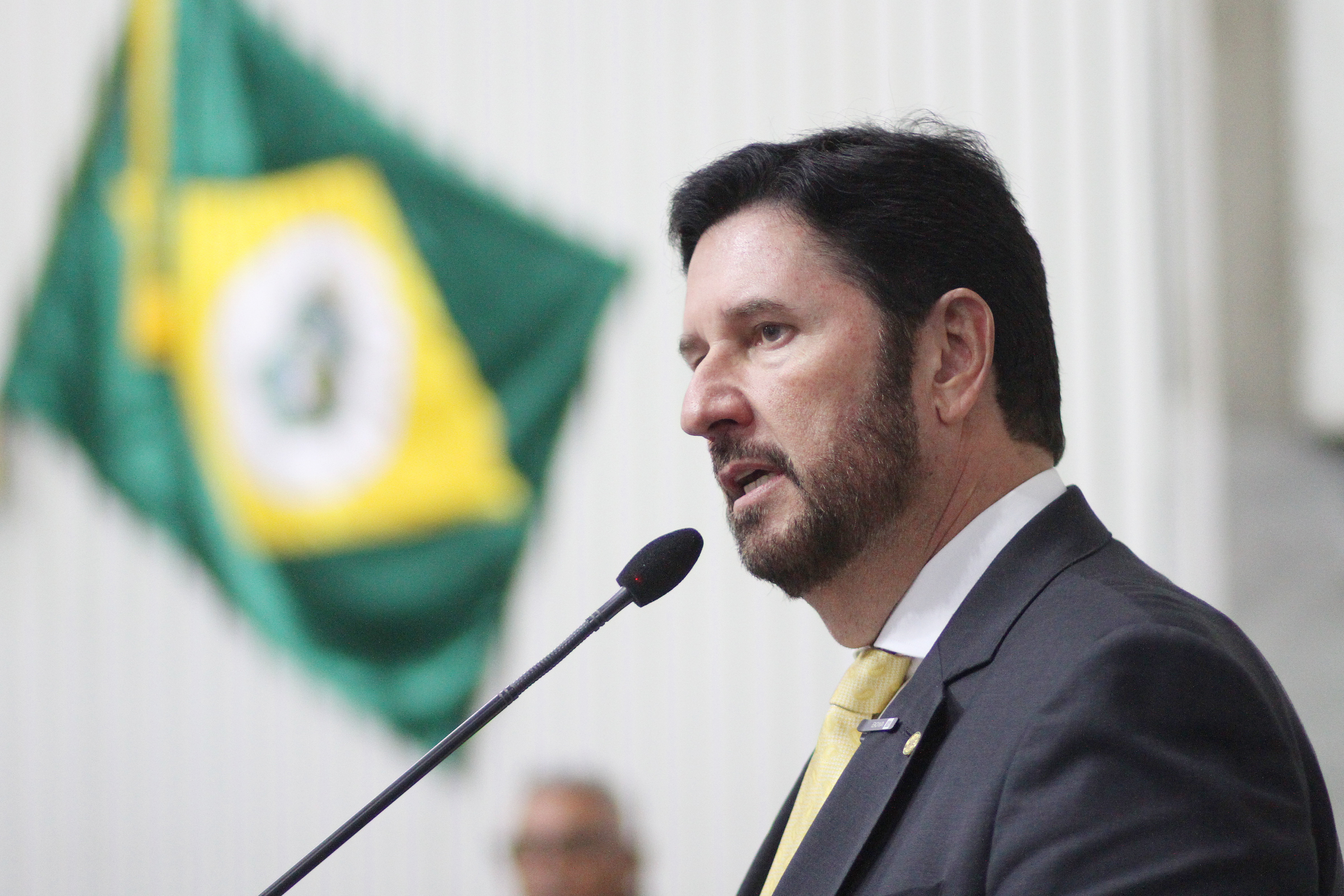 Dep. Romeu Aldigueri ( PDT )