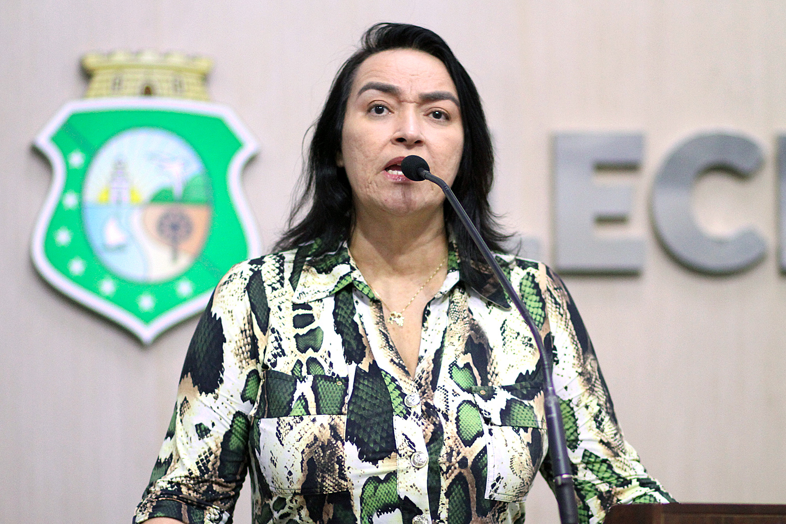 Deputada Dra. Silvana (PL)