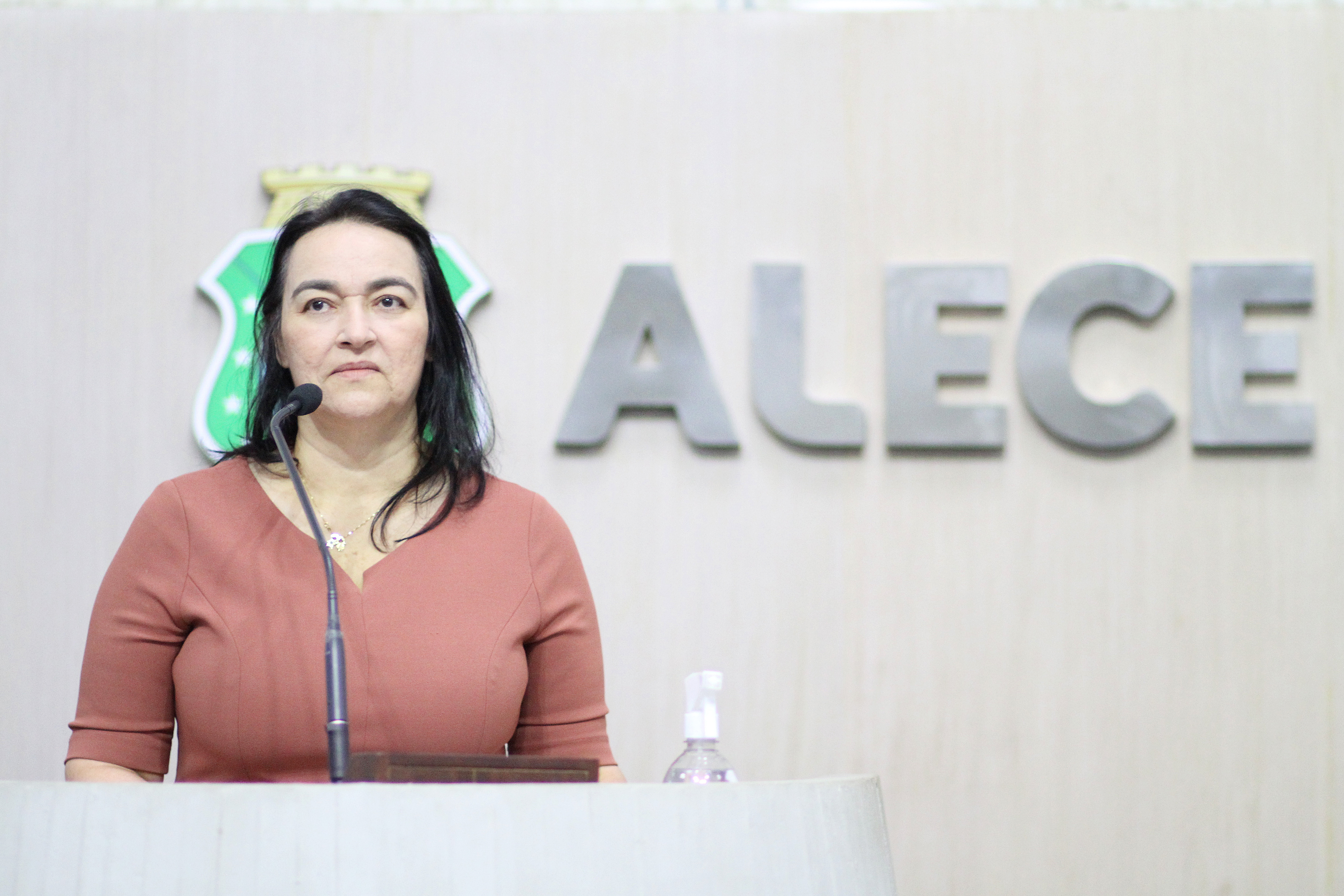 Dep. Dra. Silvana ( PL )