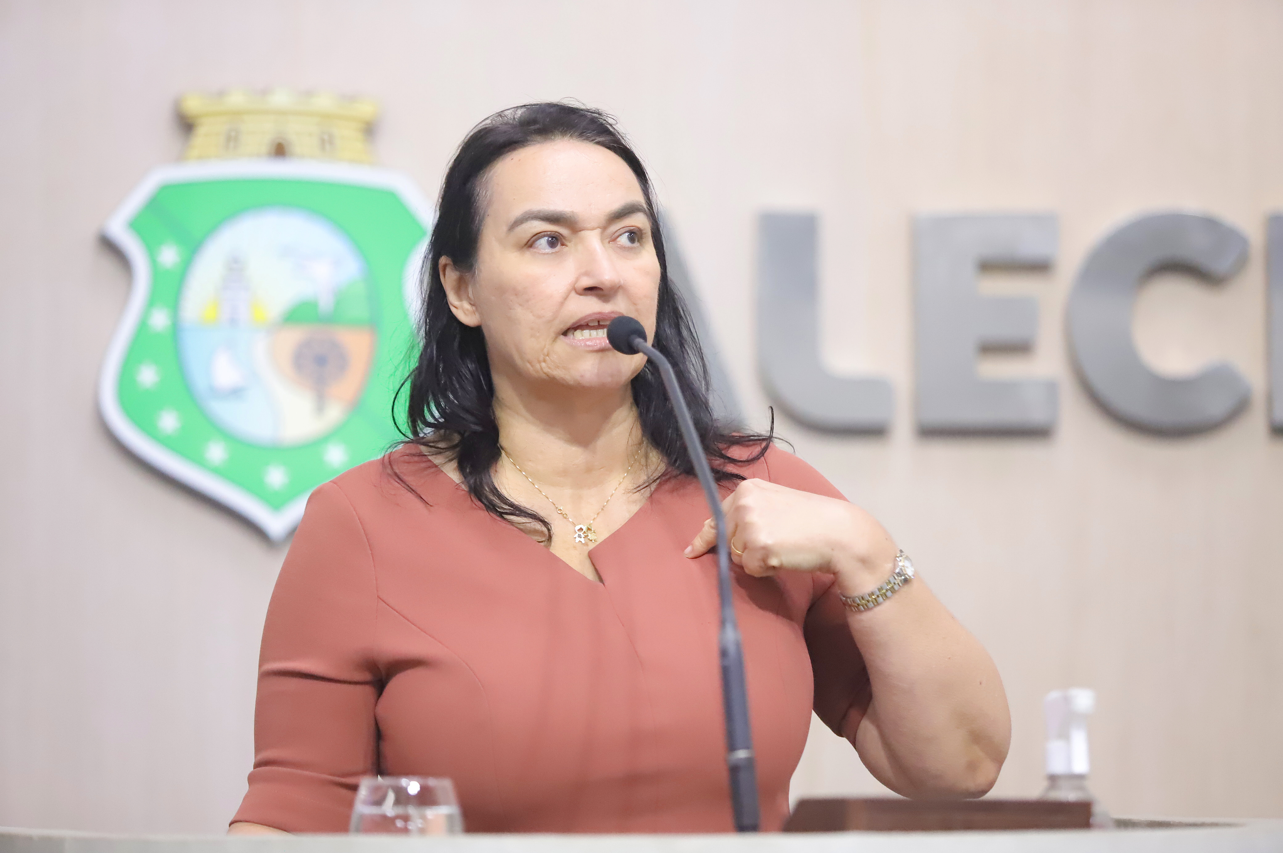 Dep. Dra. Silvana ( PL )