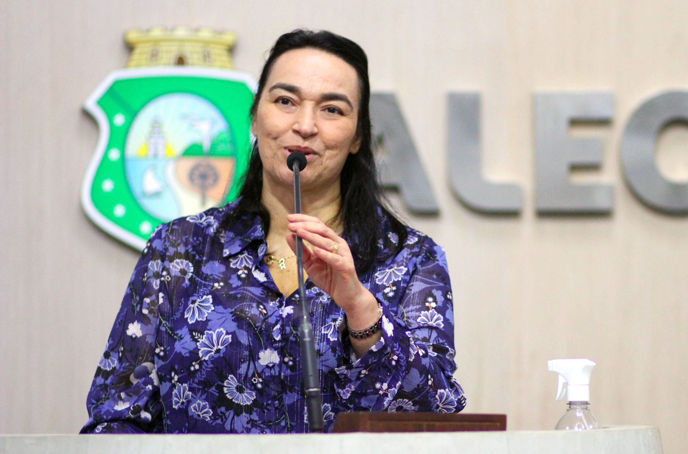 Deputada Dra. Silvana (PL)