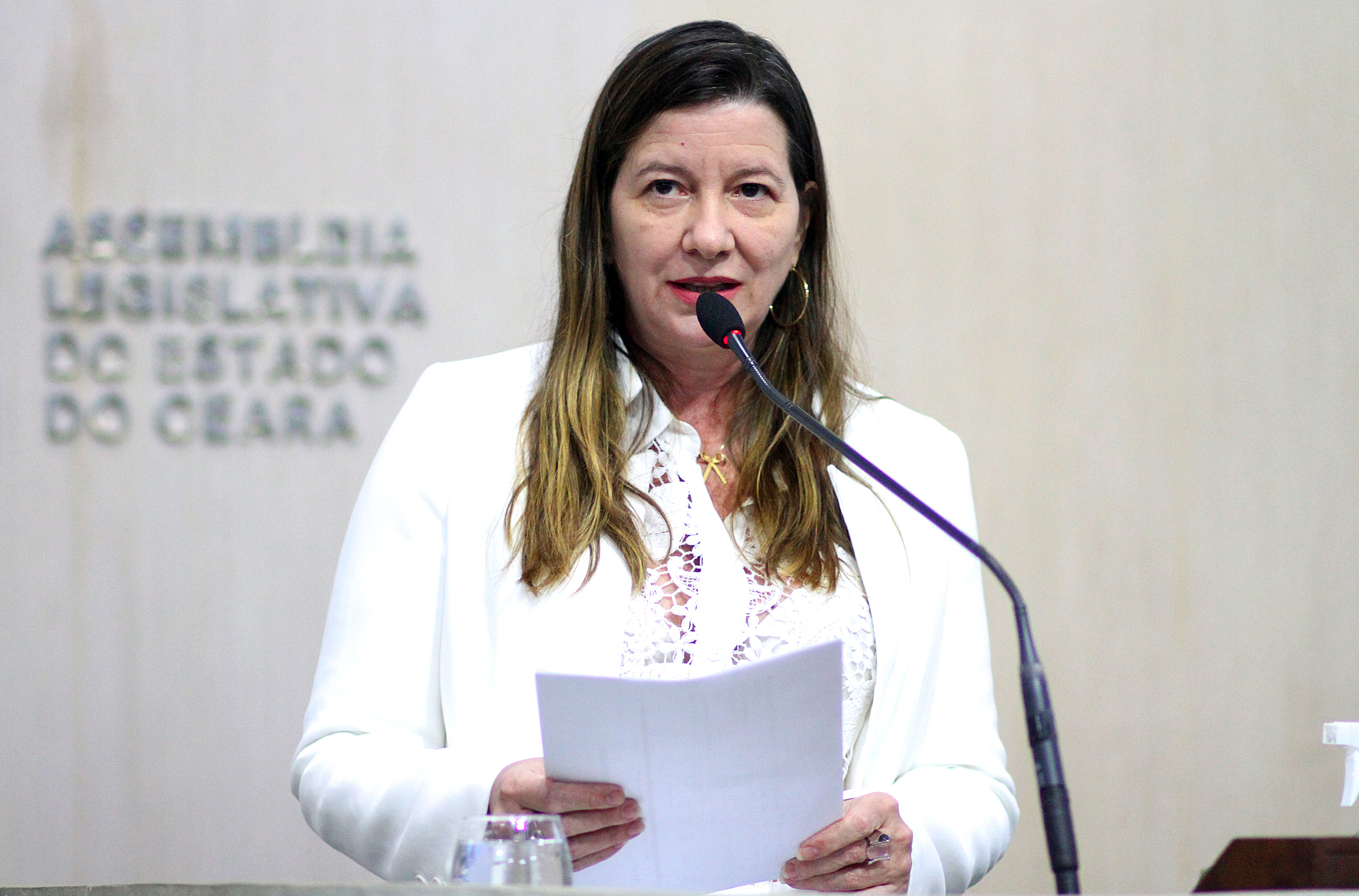 Deputada Lia Gomes (PDT)