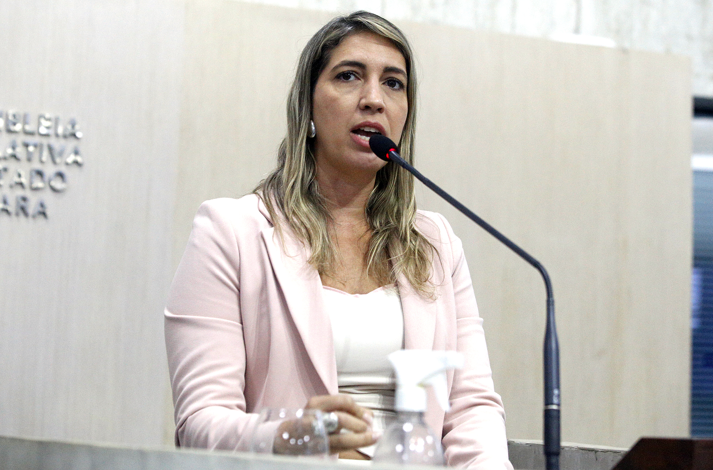 Deputada Larissa Gaspar (PT)