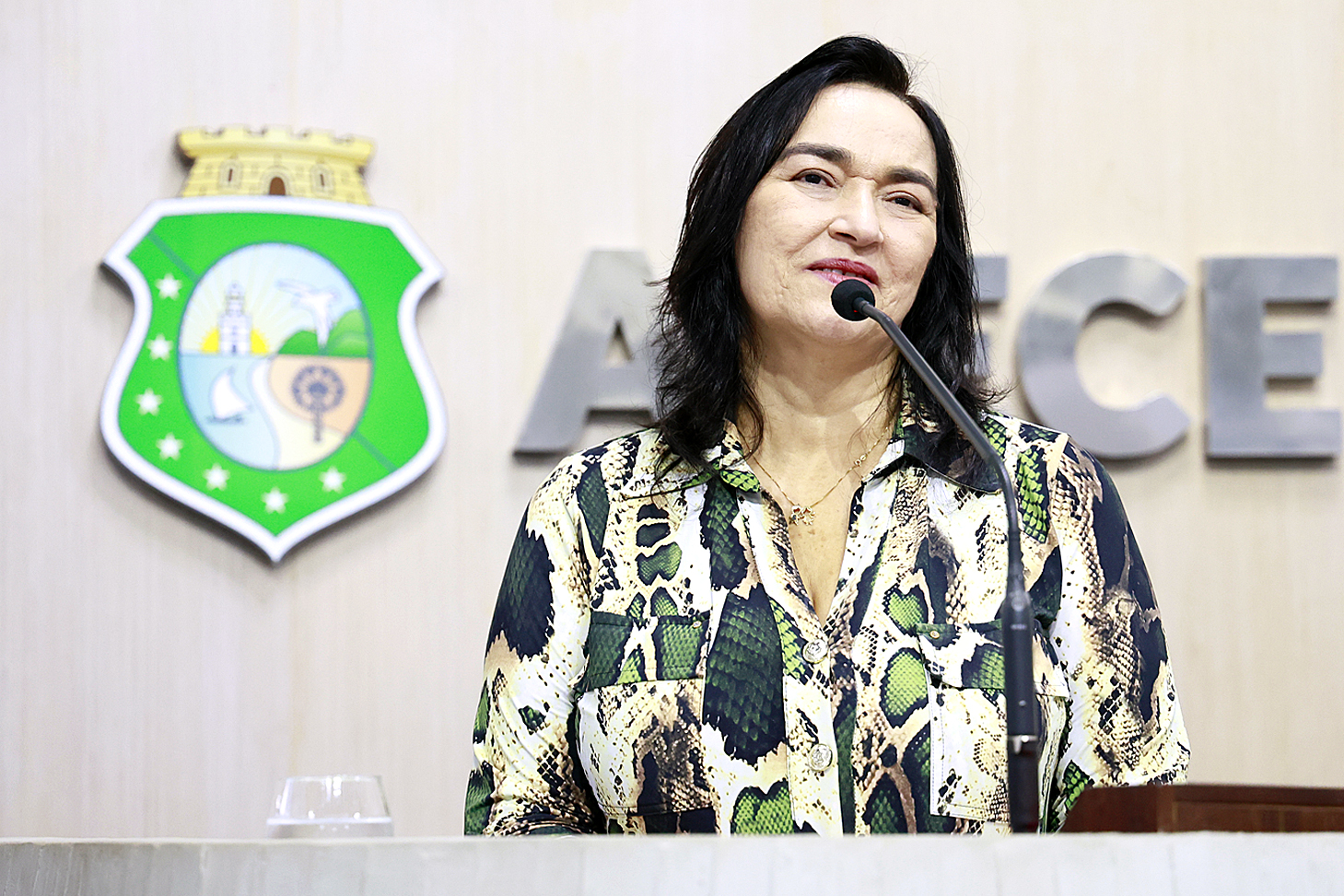 Deputada Dra.Silvana (PL)